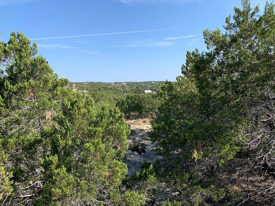 0 Westward Look None Property Photo 11