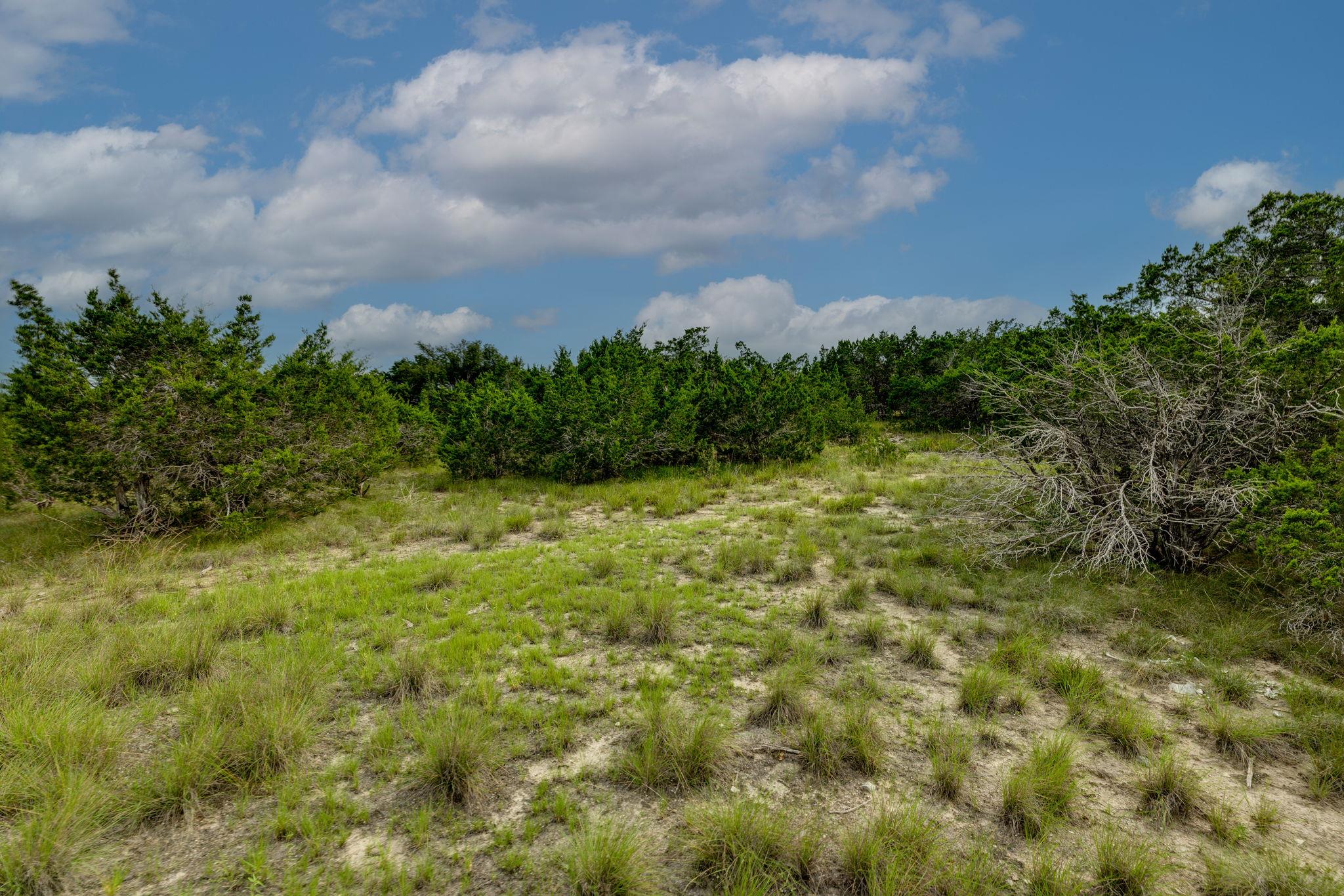 0 Westward Look None Property Photo 19