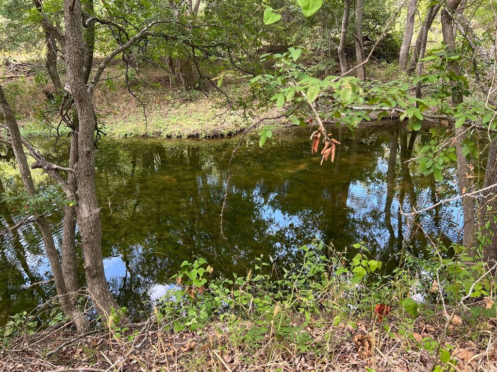 15847 Decker Lake Rd Property Photo 2