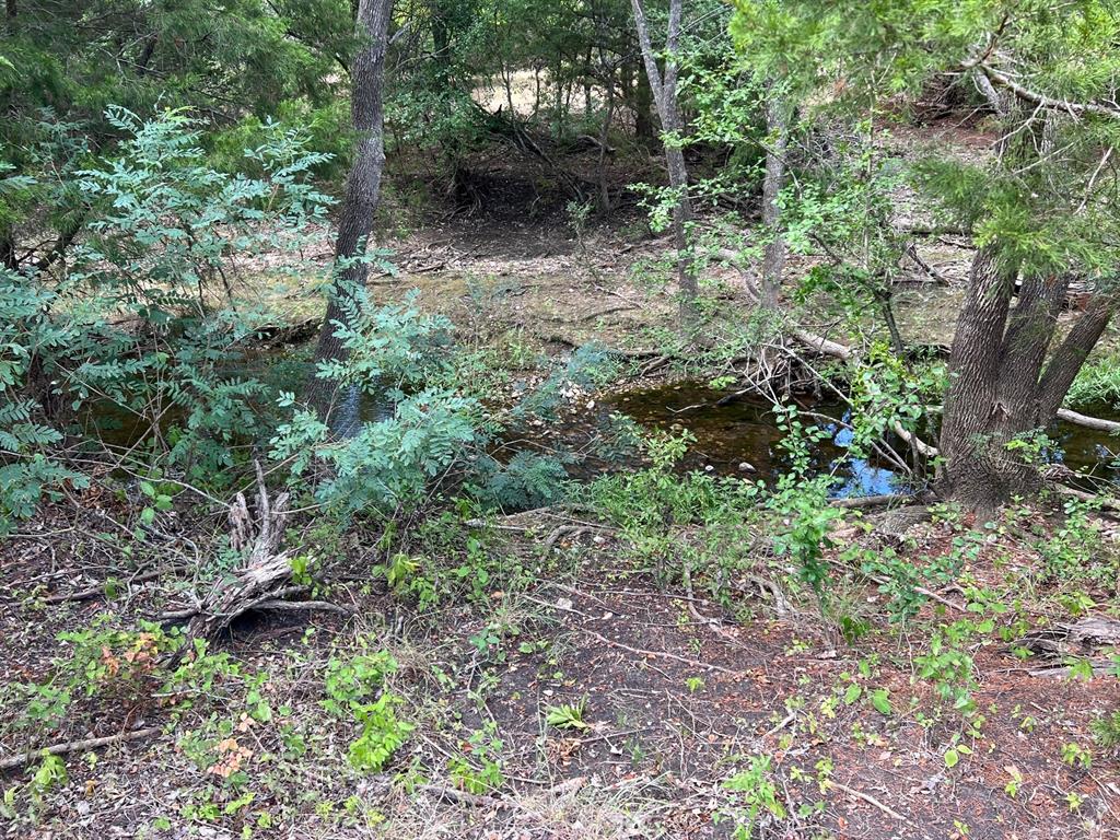 15847 Decker Lake Rd Property Photo 3