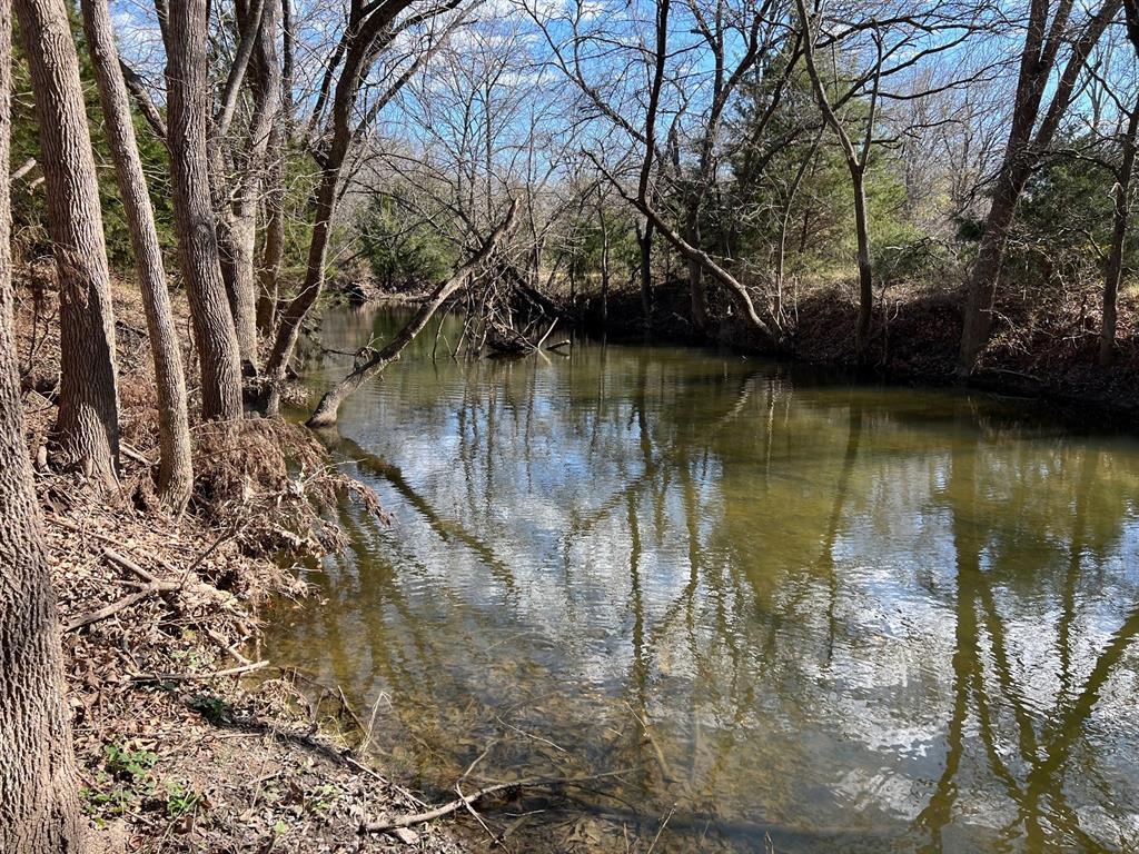 15847 Decker Lake Rd Property Photo 9