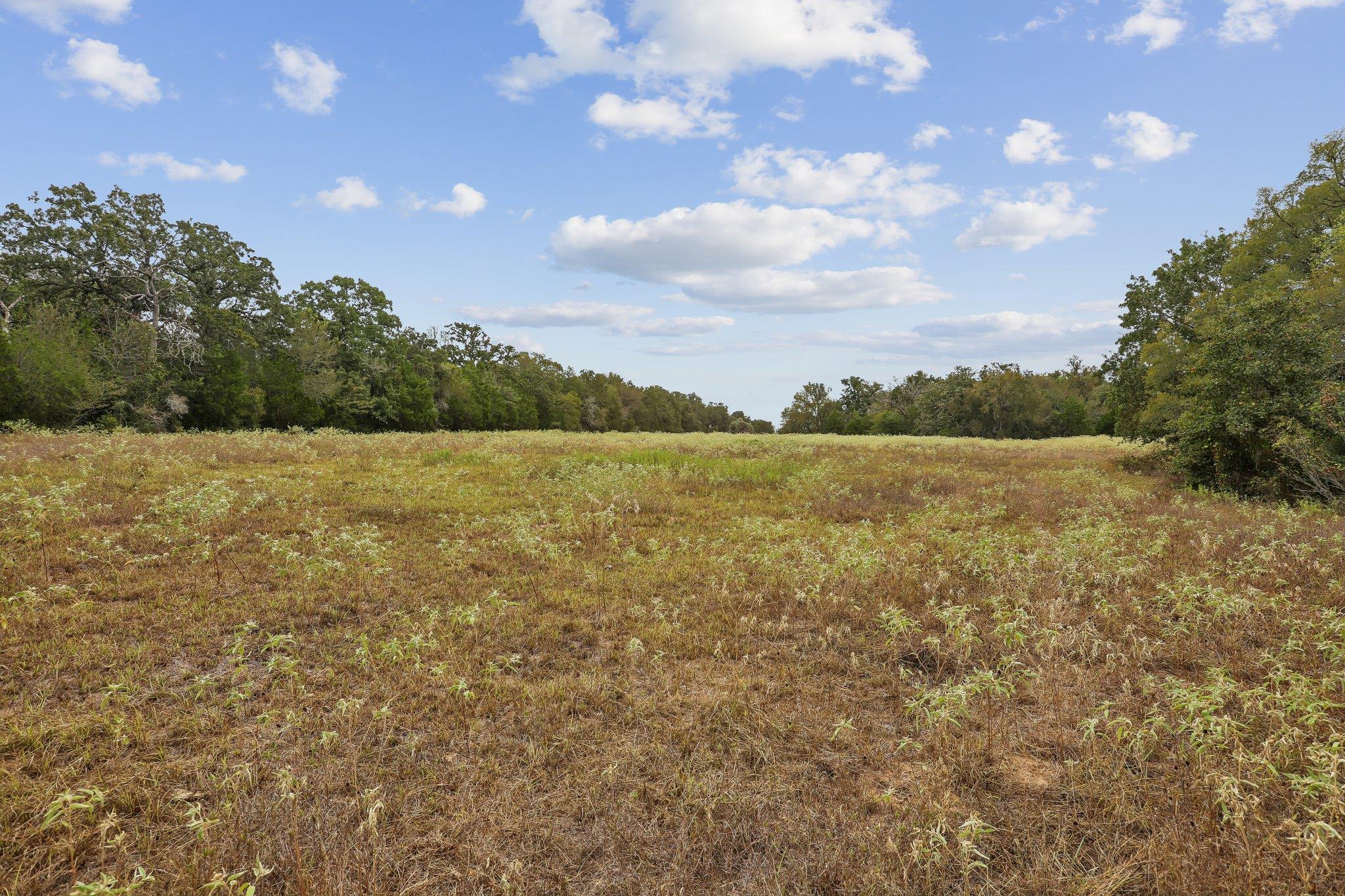 1090 Private Road 7046 None Property Photo 23
