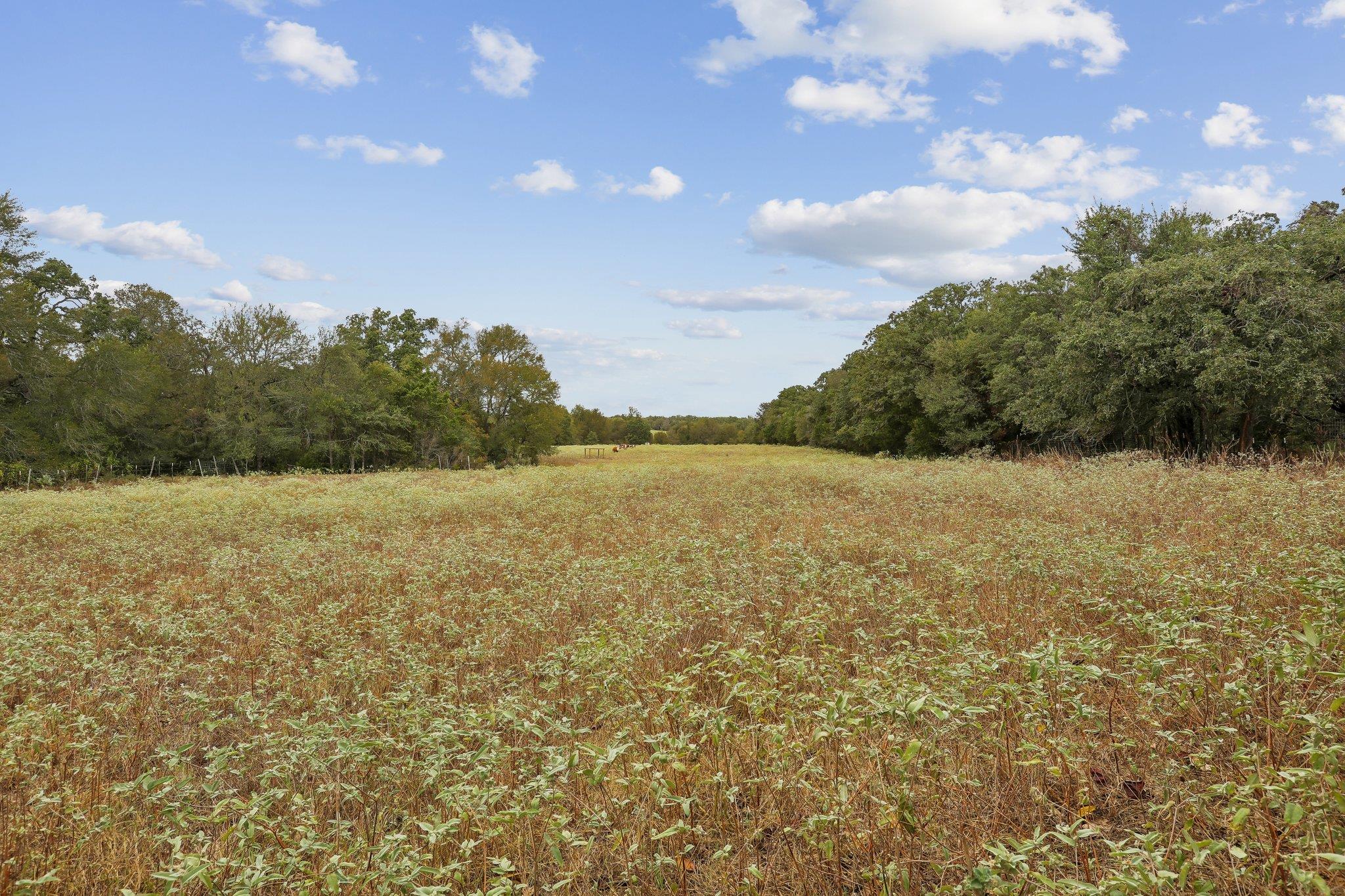1090 Private Road 7046 None Property Photo 24