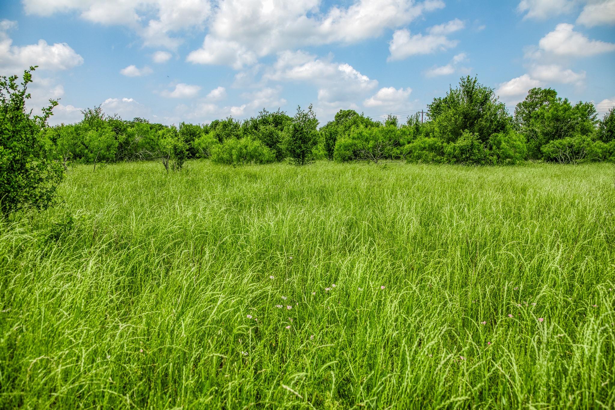 10440 County Road 276 Land Property Photo