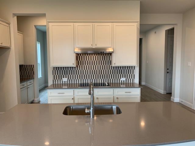 2202 Ambling Trl Property Photo 5