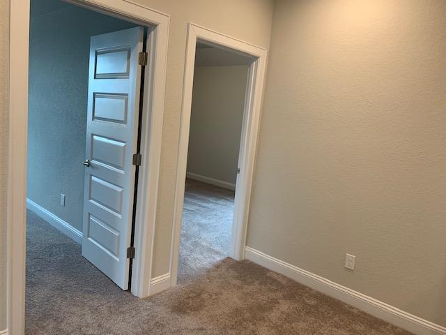 2202 Ambling Trl Property Photo 11