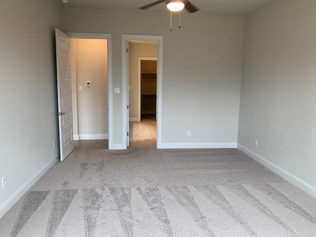 2202 Ambling Trl Property Photo 17