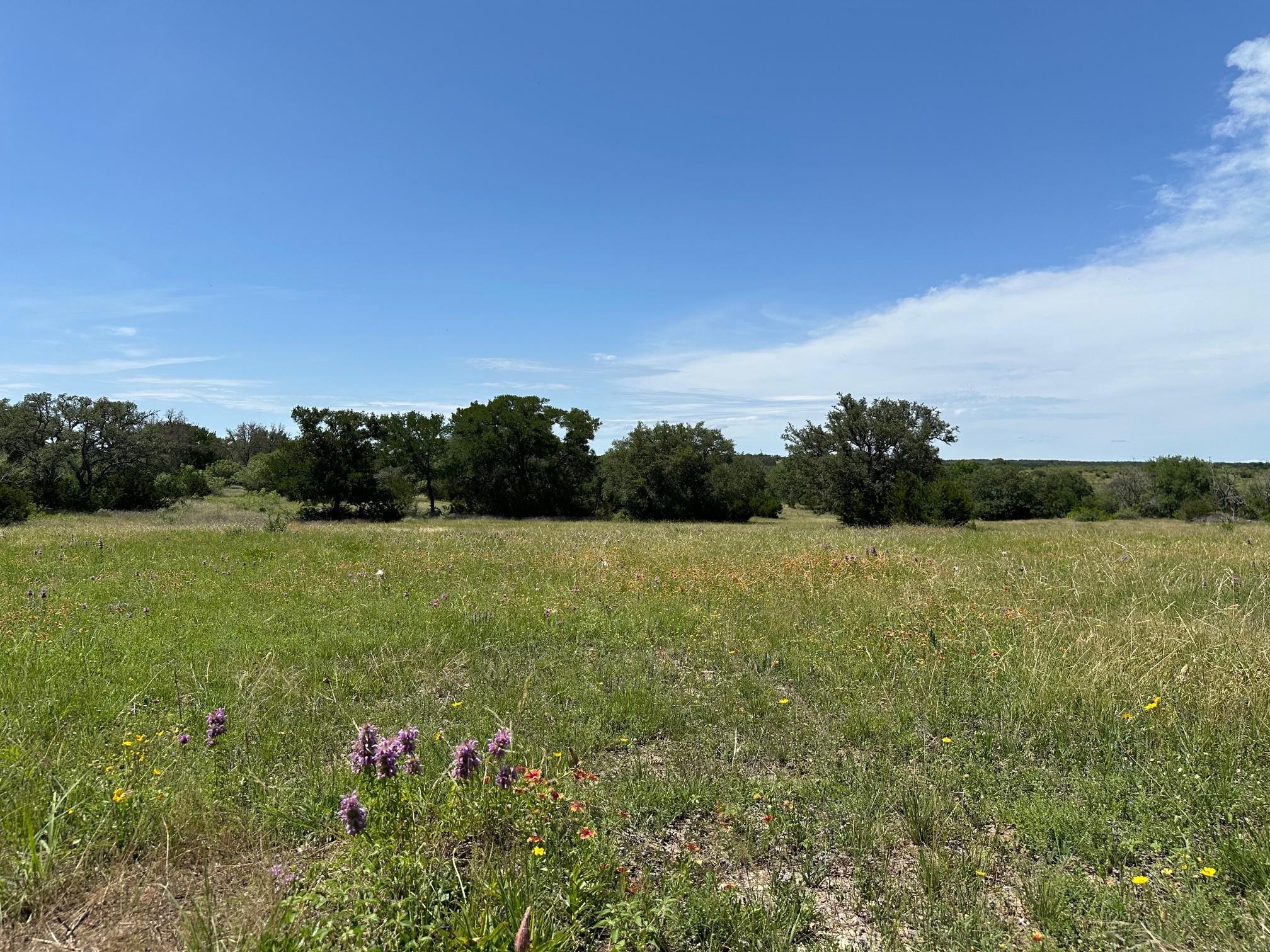 23 Acres County Road 330 None Property Photo 4
