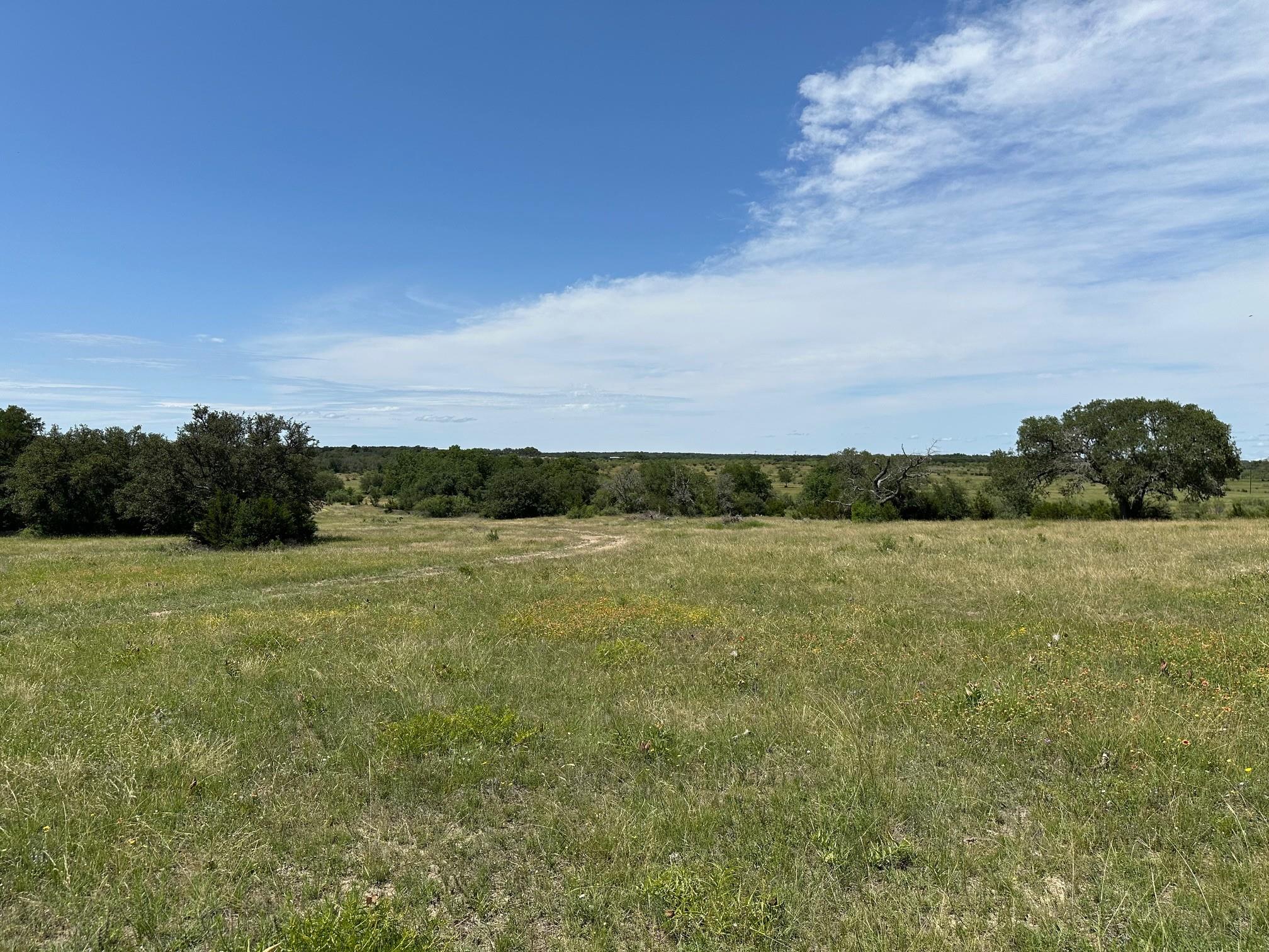 23 Acres County Road 330 None Property Photo 6
