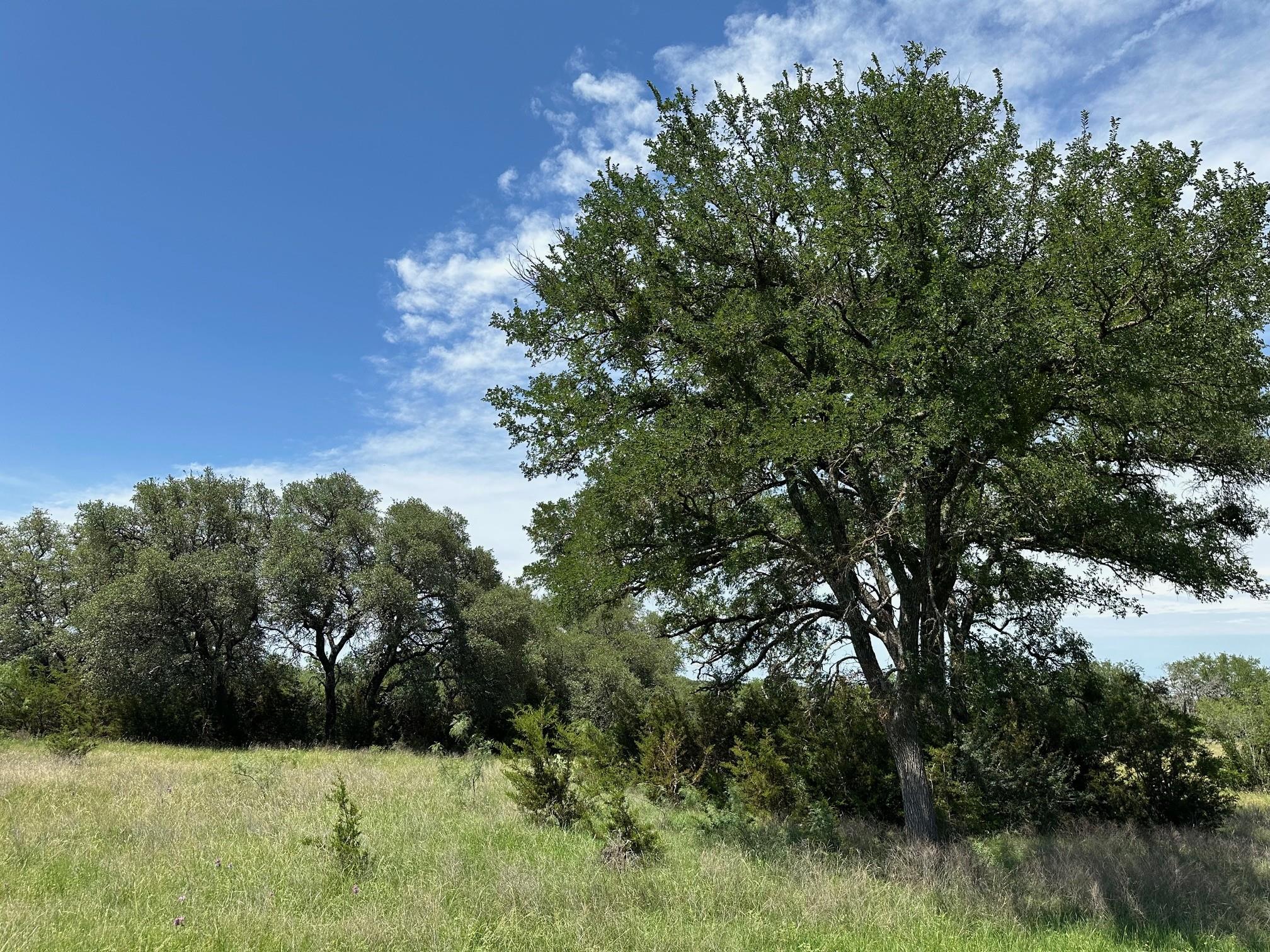 23 Acres County Road 330 None Property Photo 8
