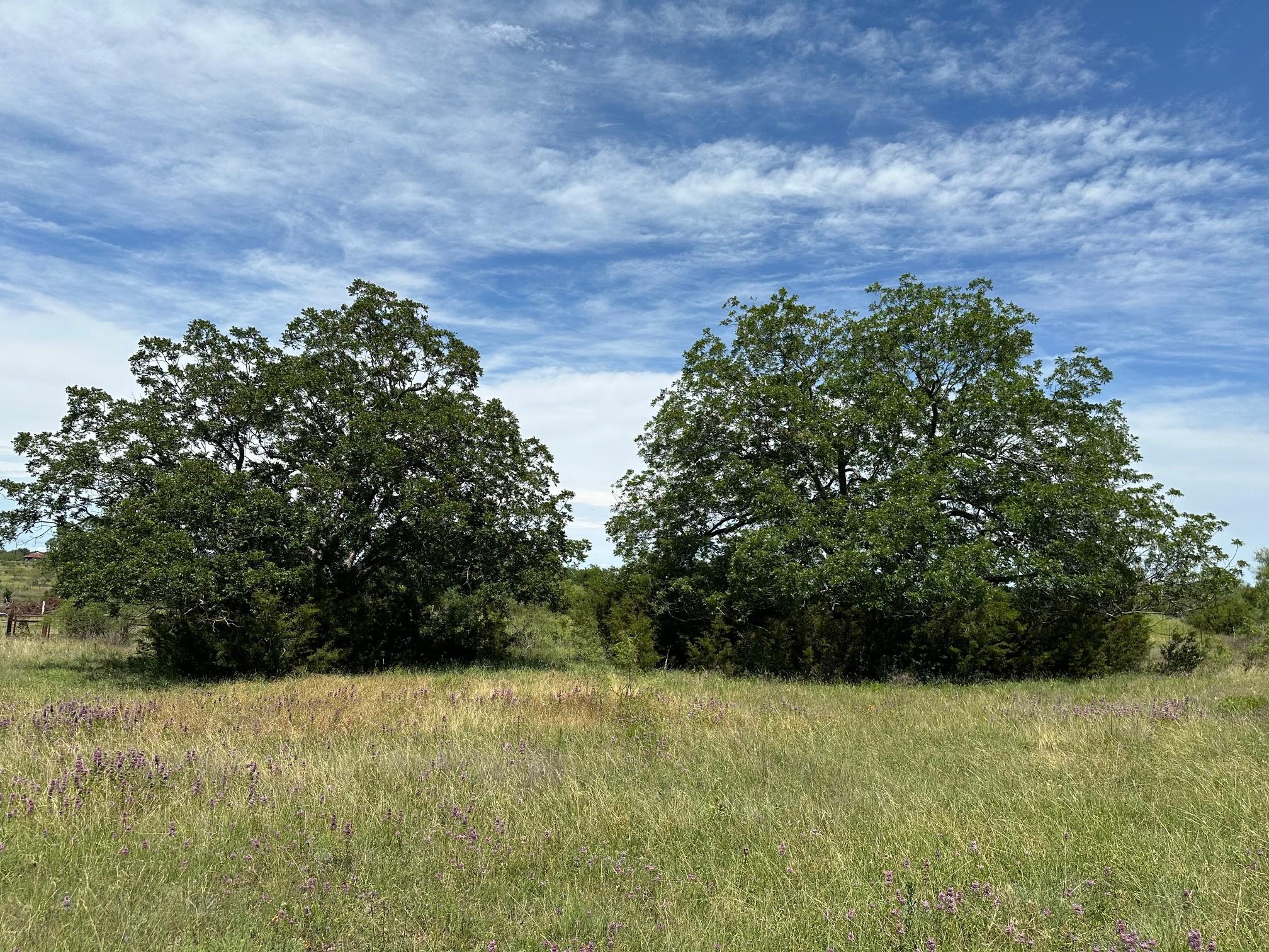 23 Acres County Road 330 None Property Photo 9