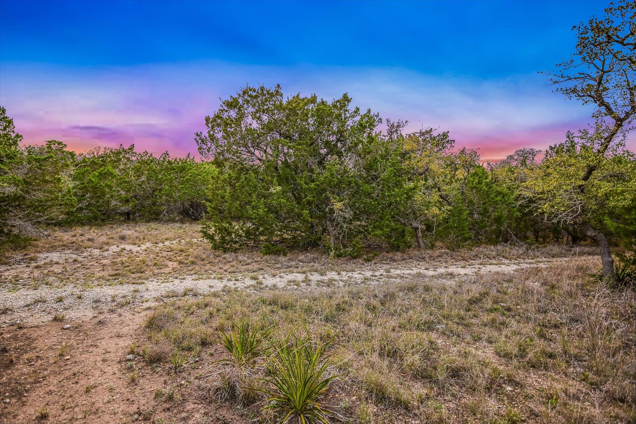 5648124 Property Photo 1