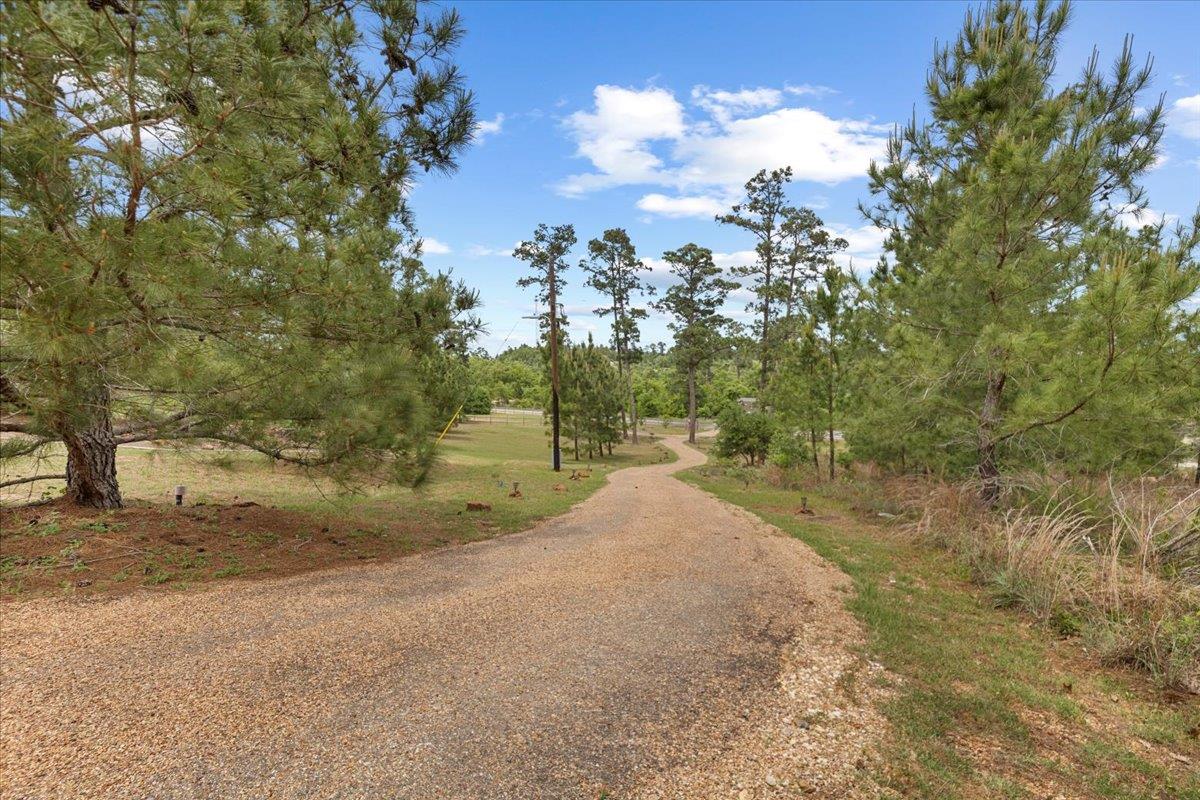 178 Pine Tree Loop Property Photo 4