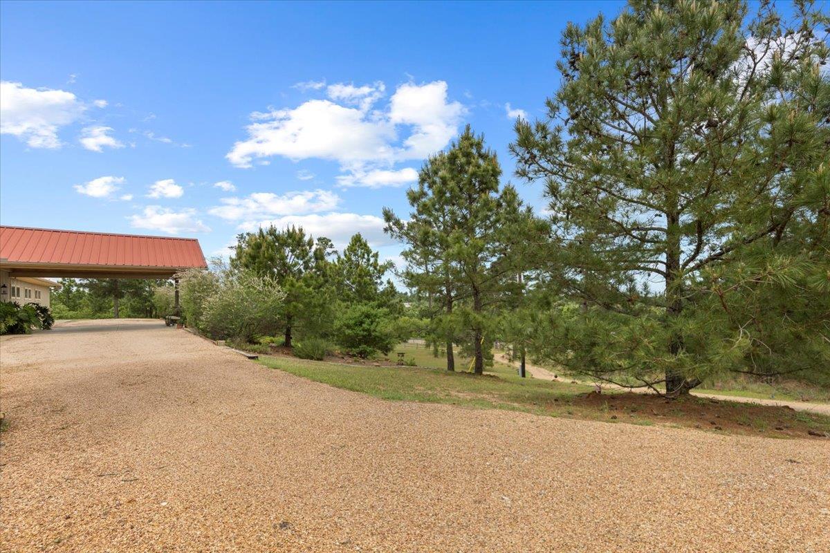 178 Pine Tree Loop Property Photo 6