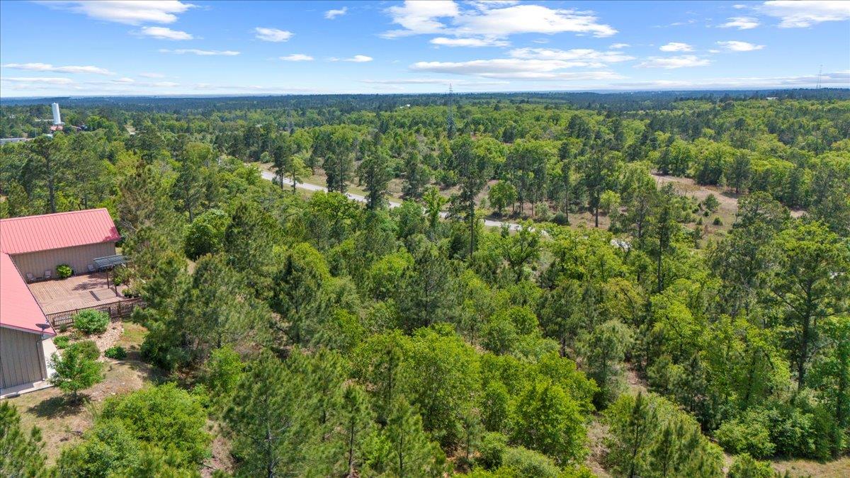 178 Pine Tree Loop Property Photo 35