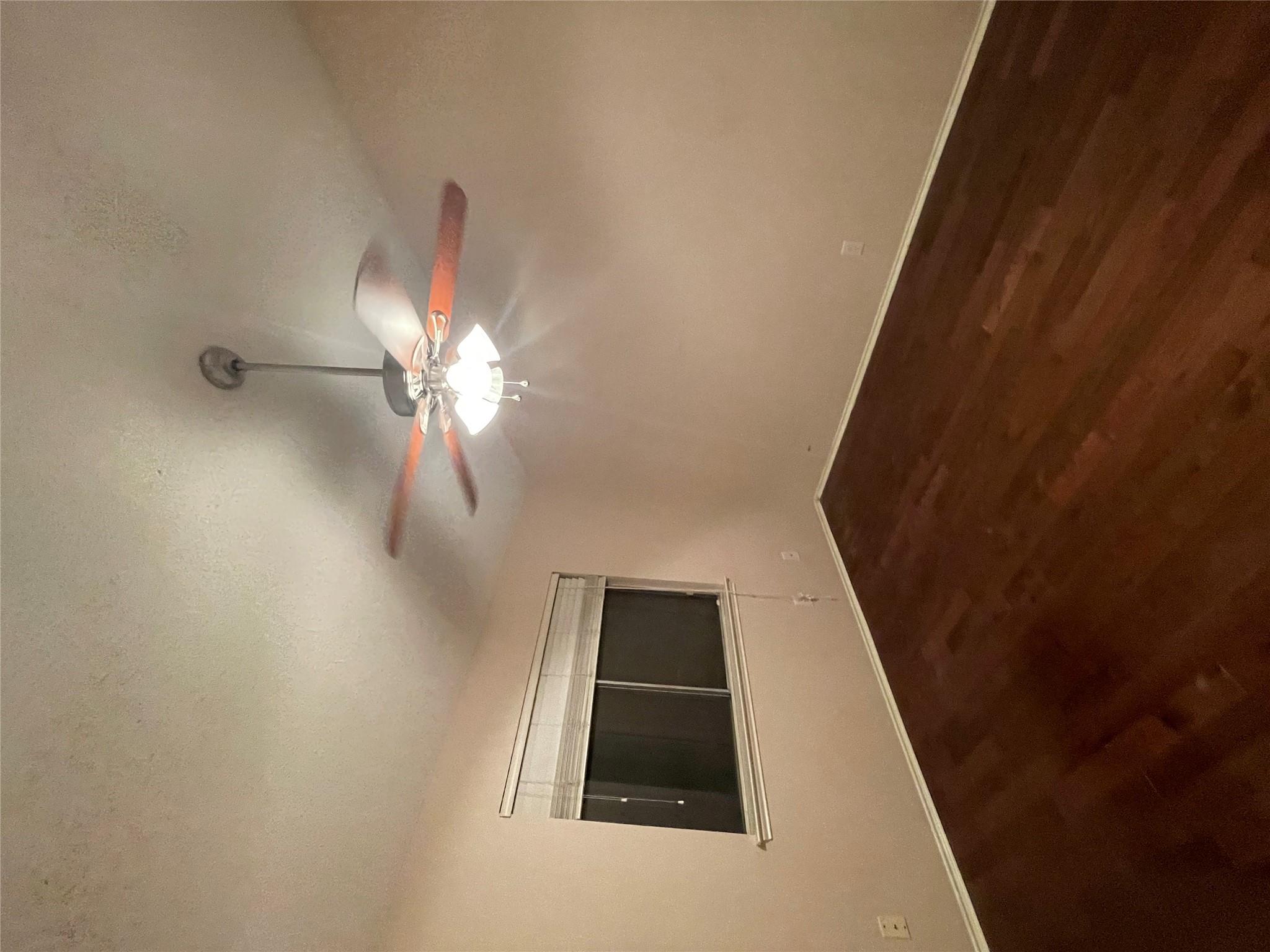 12725 Magnolia Mound Trl Property Photo 11