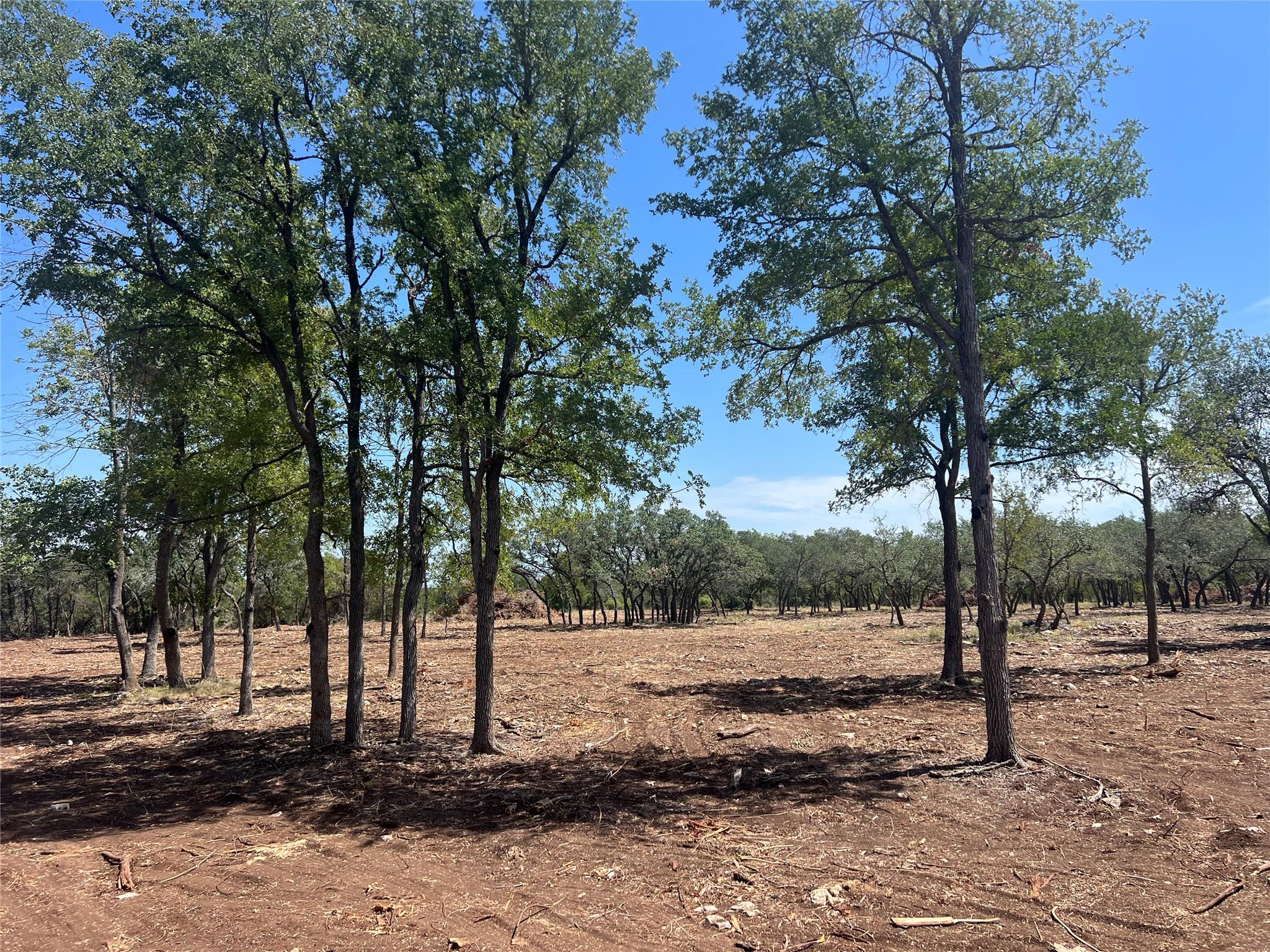 Lot 2 Trautwein Rd Property Photo 5