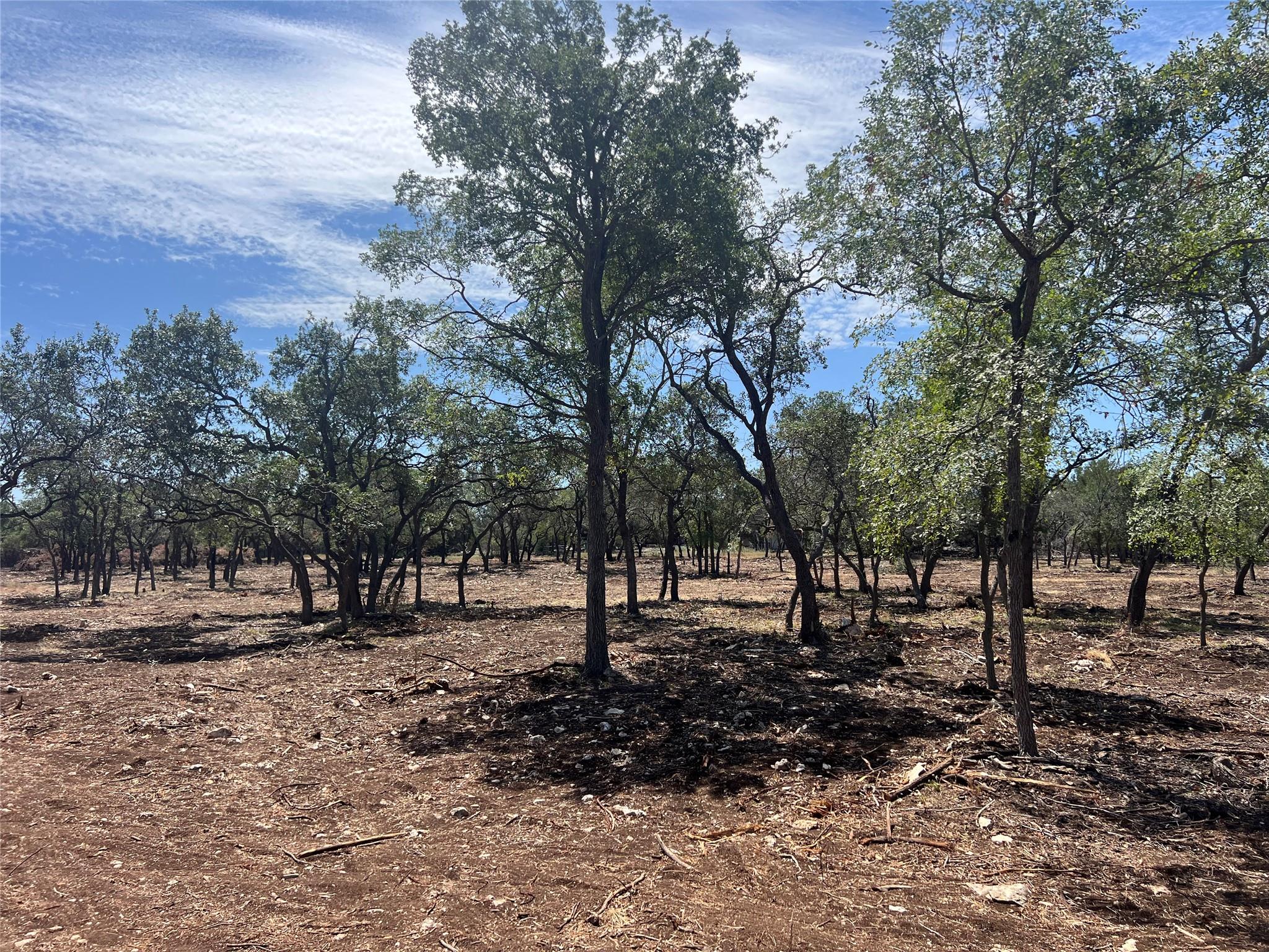 Lot 2 Trautwein Rd Property Photo 8