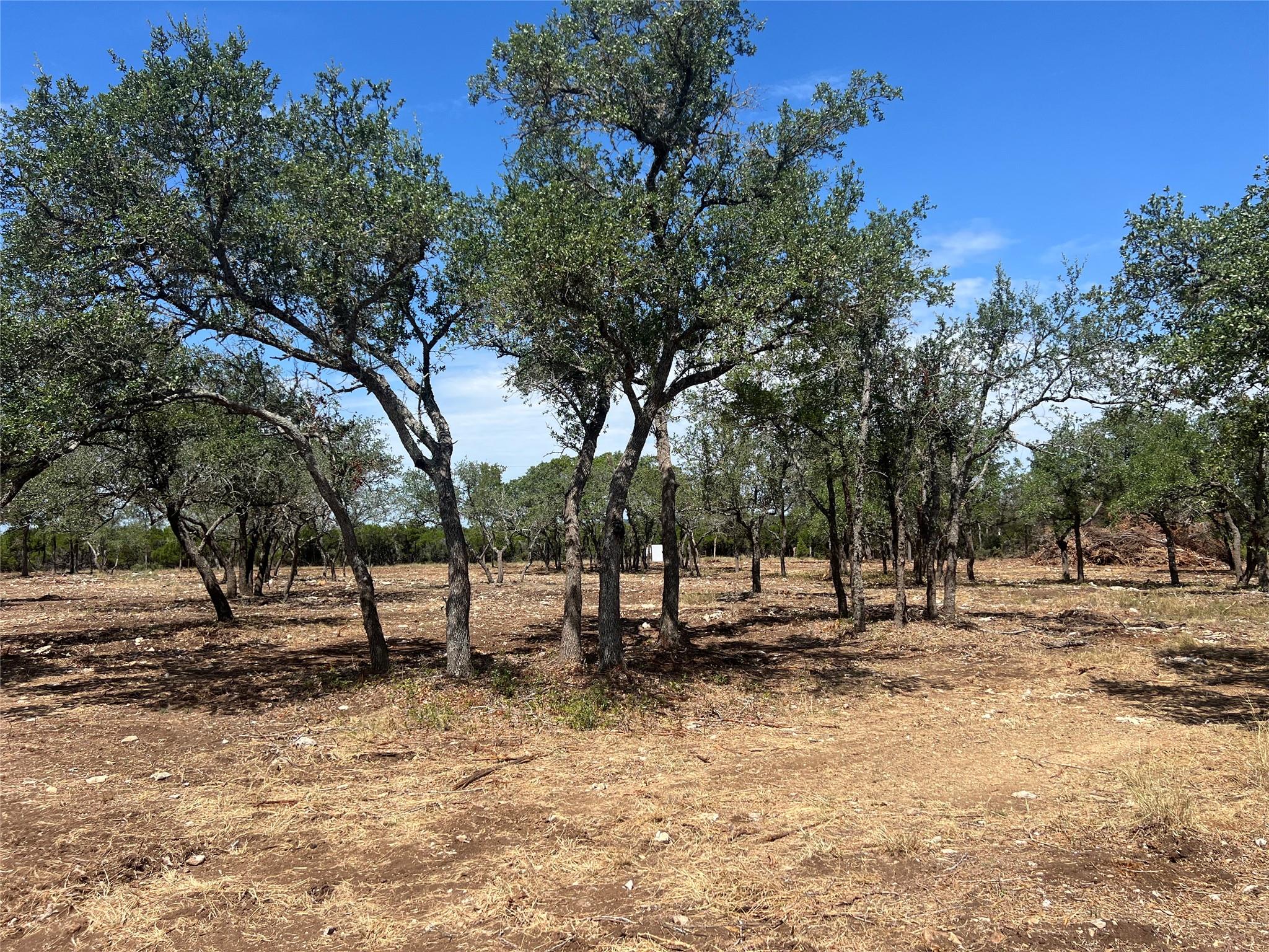 Lot 2 Trautwein Rd Property Photo 13
