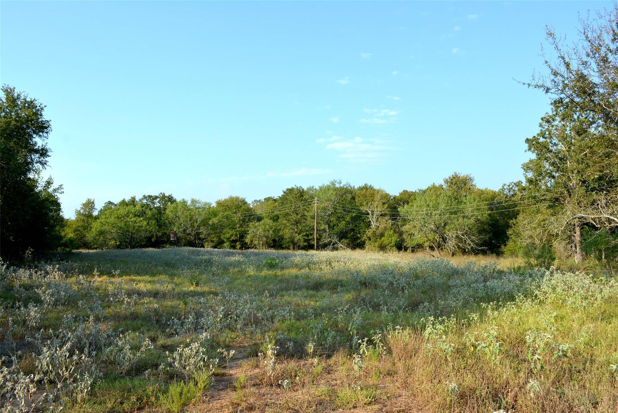 569 Tbd Burdette Wells Rd Property Photo 9