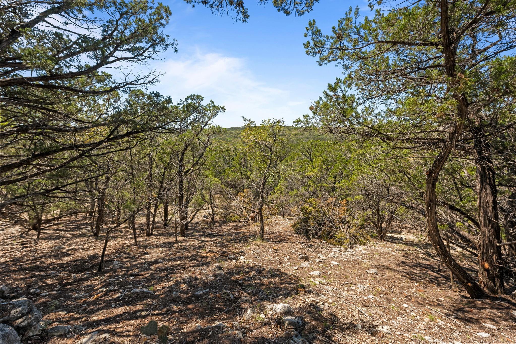 1725 Cripple Creek Sta Property Photo 30