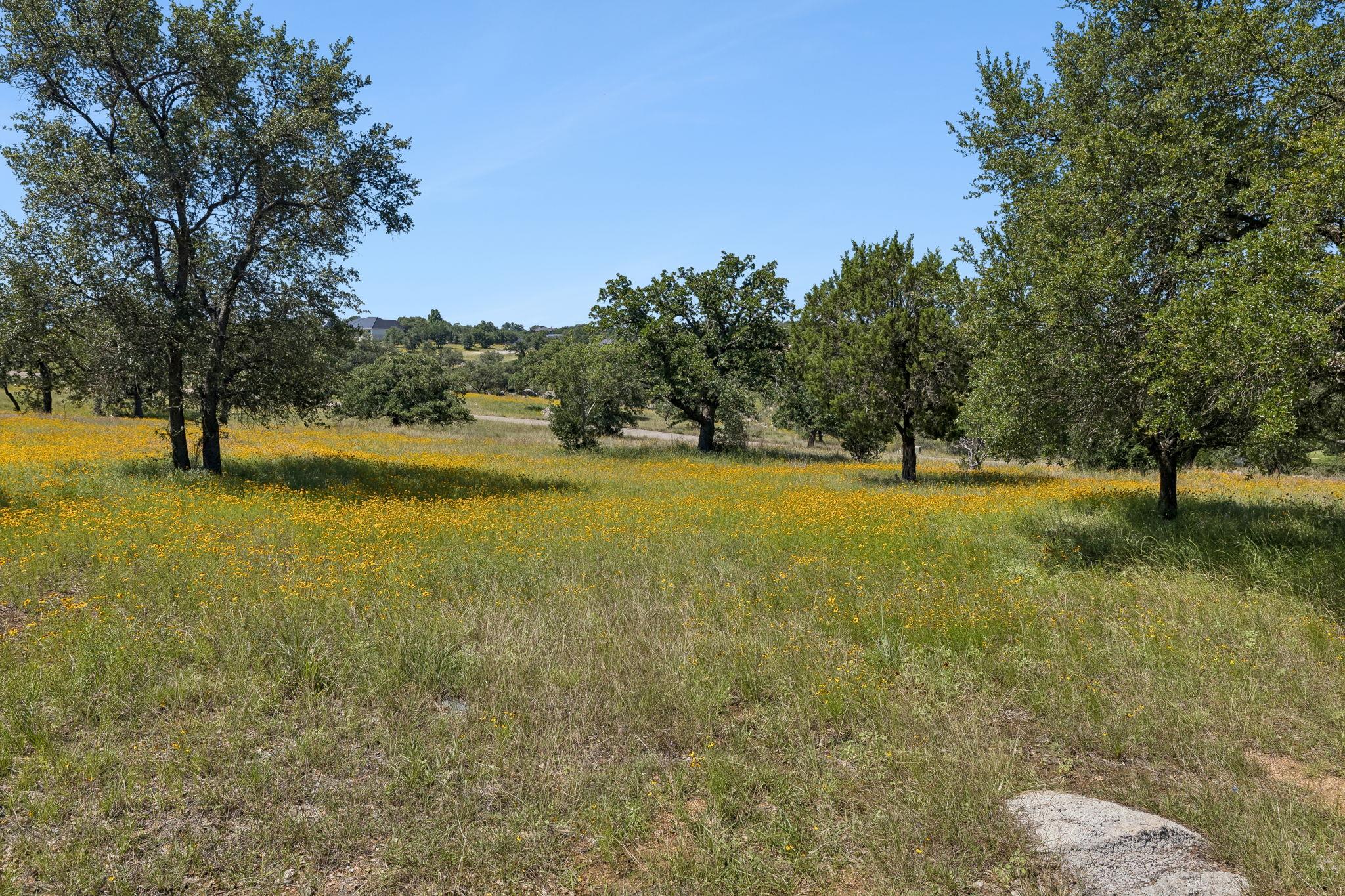 107 Comanche Agate None Property Photo 21
