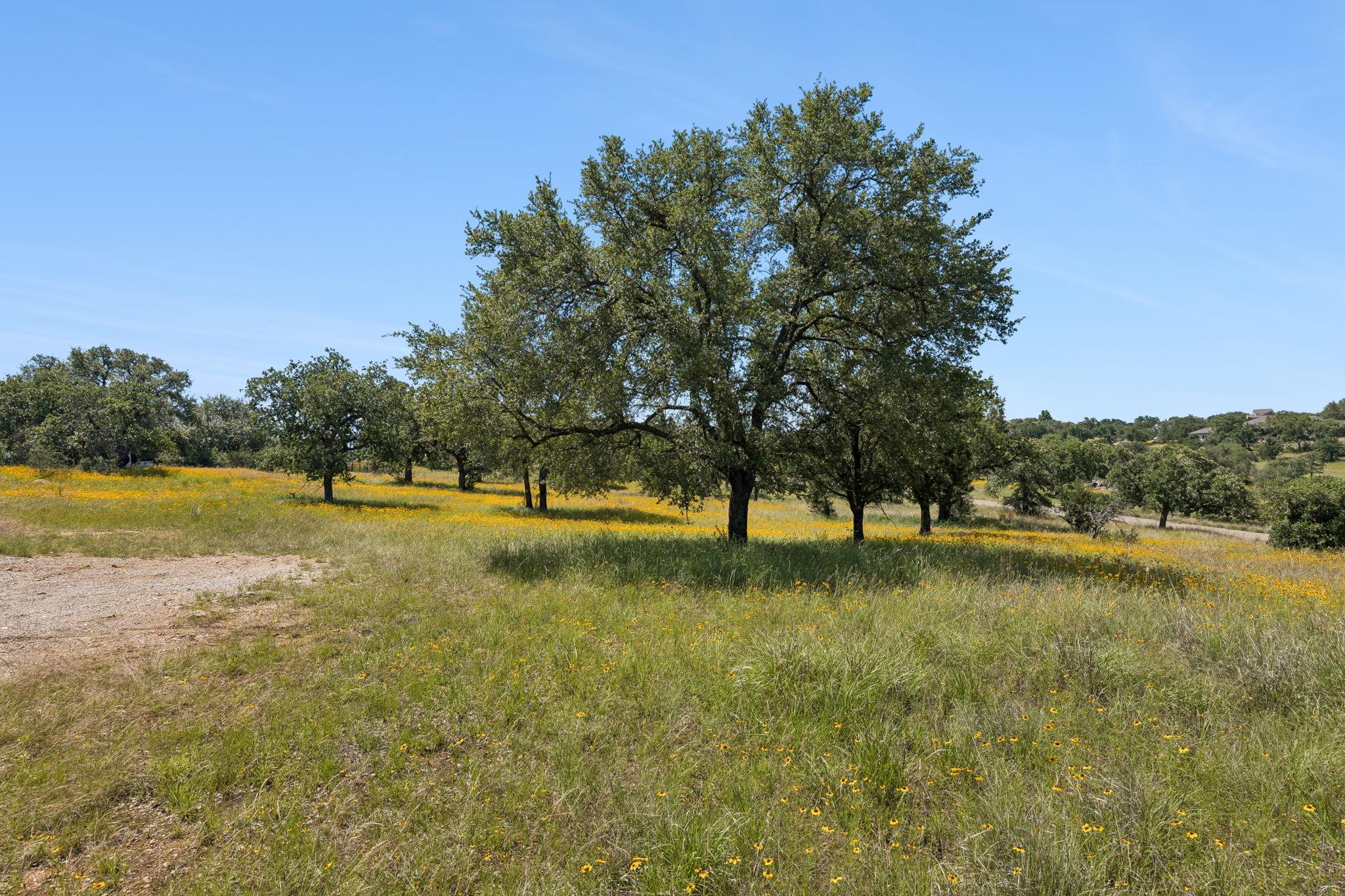107 Comanche Agate None Property Photo 22
