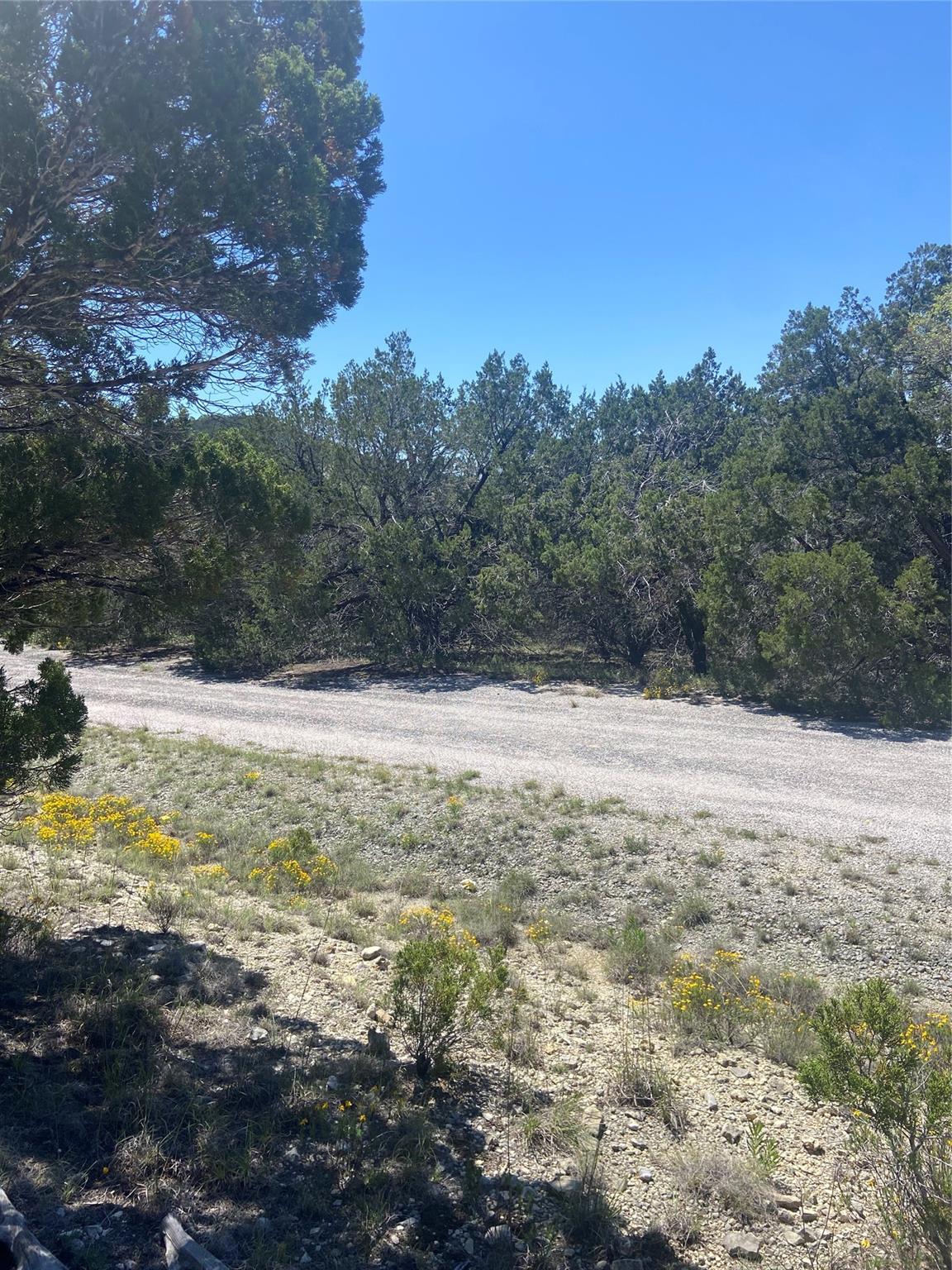 20702 Appaloosa Trl Property Photo 1