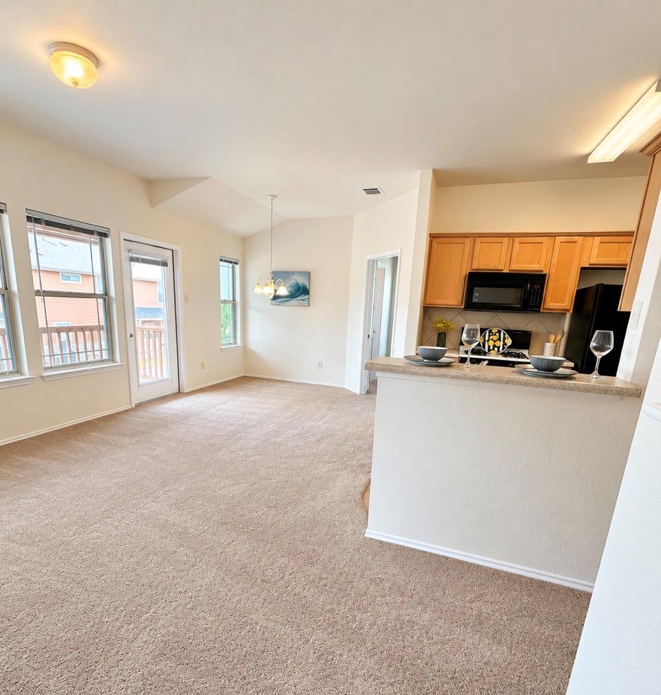 1481 E Old Settlers Blvd #901 Property Photo 3