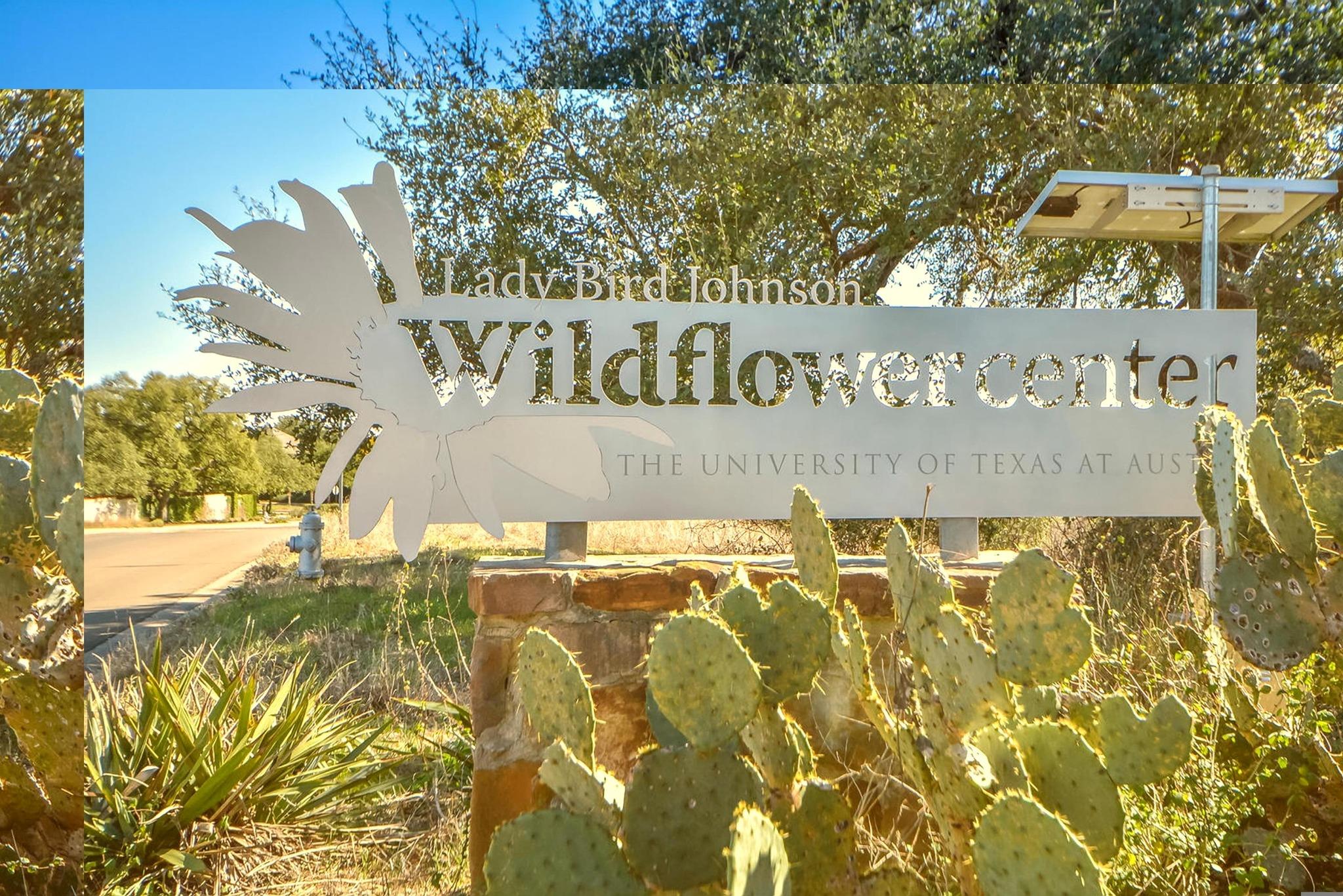 7033 Viridian Ln Property Photo 37