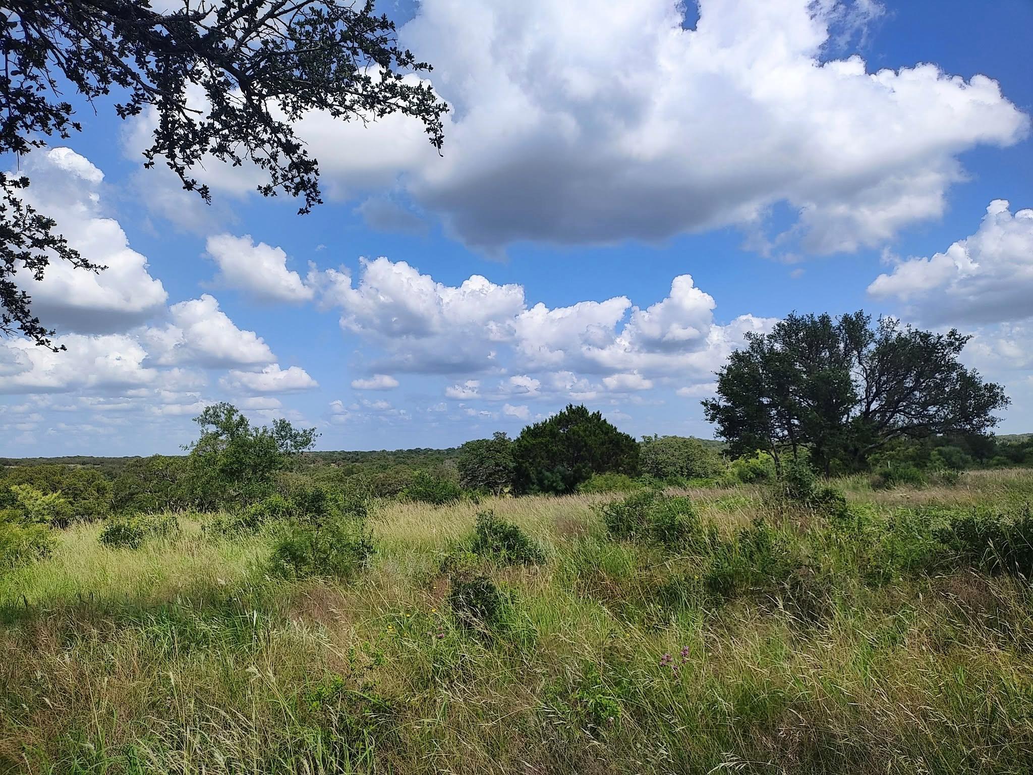 Lot 36 Buck Run None Property Photo 1