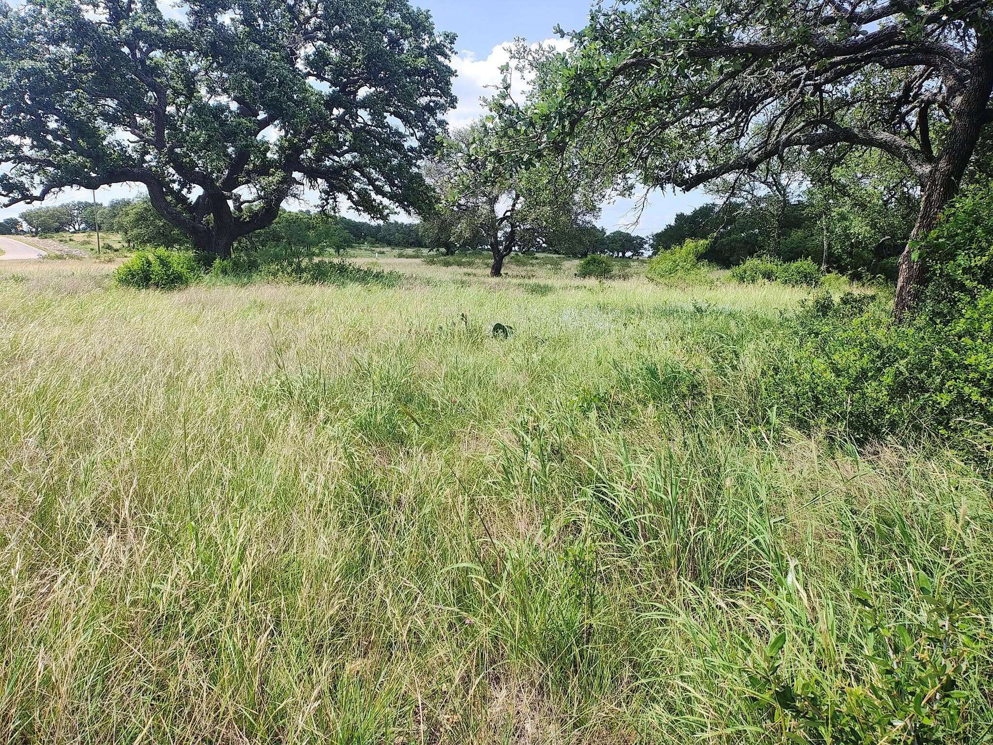Lot 36 Buck Run None Property Photo 4