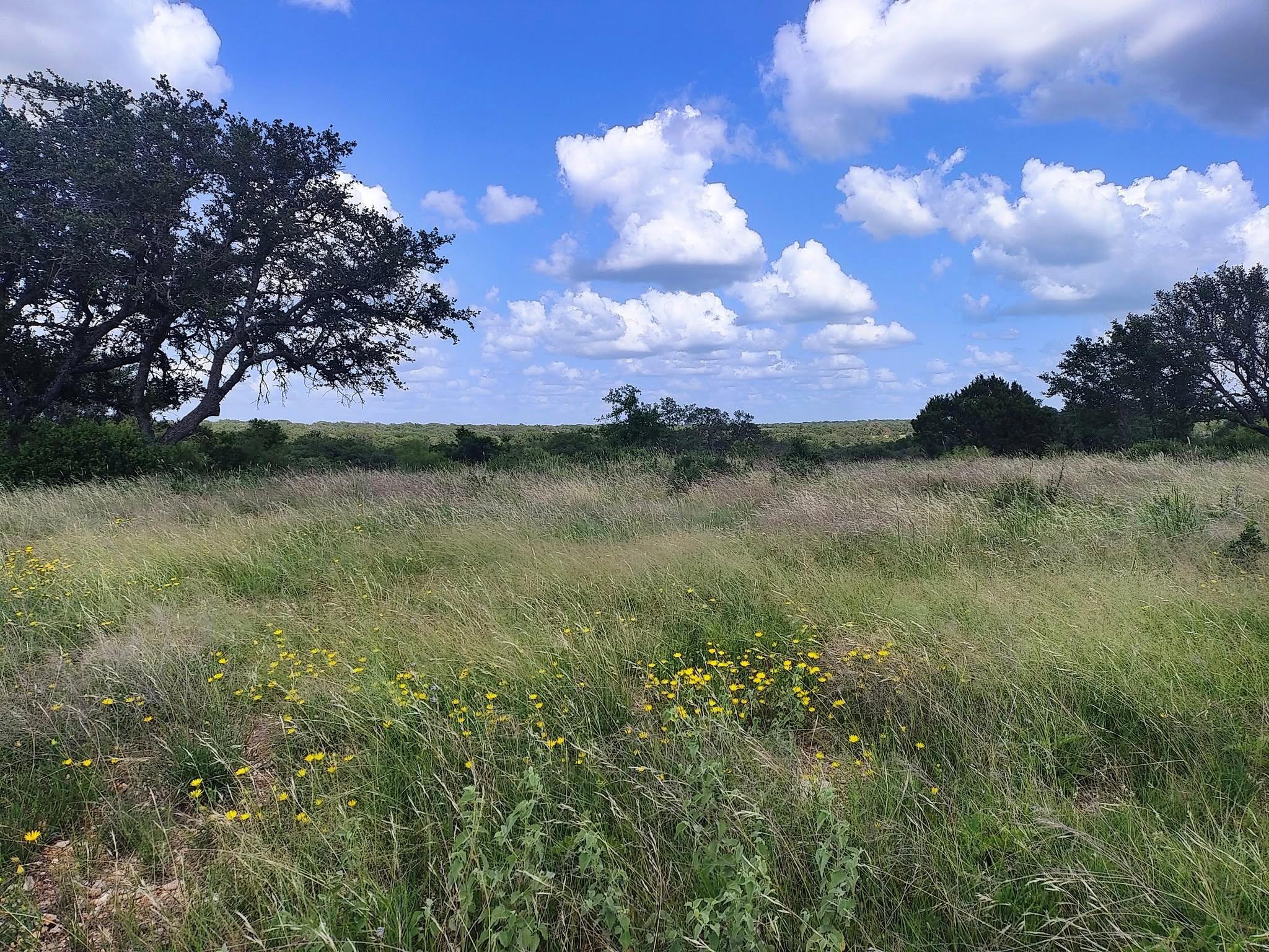 Lot 36 Buck Run None Property Photo 5