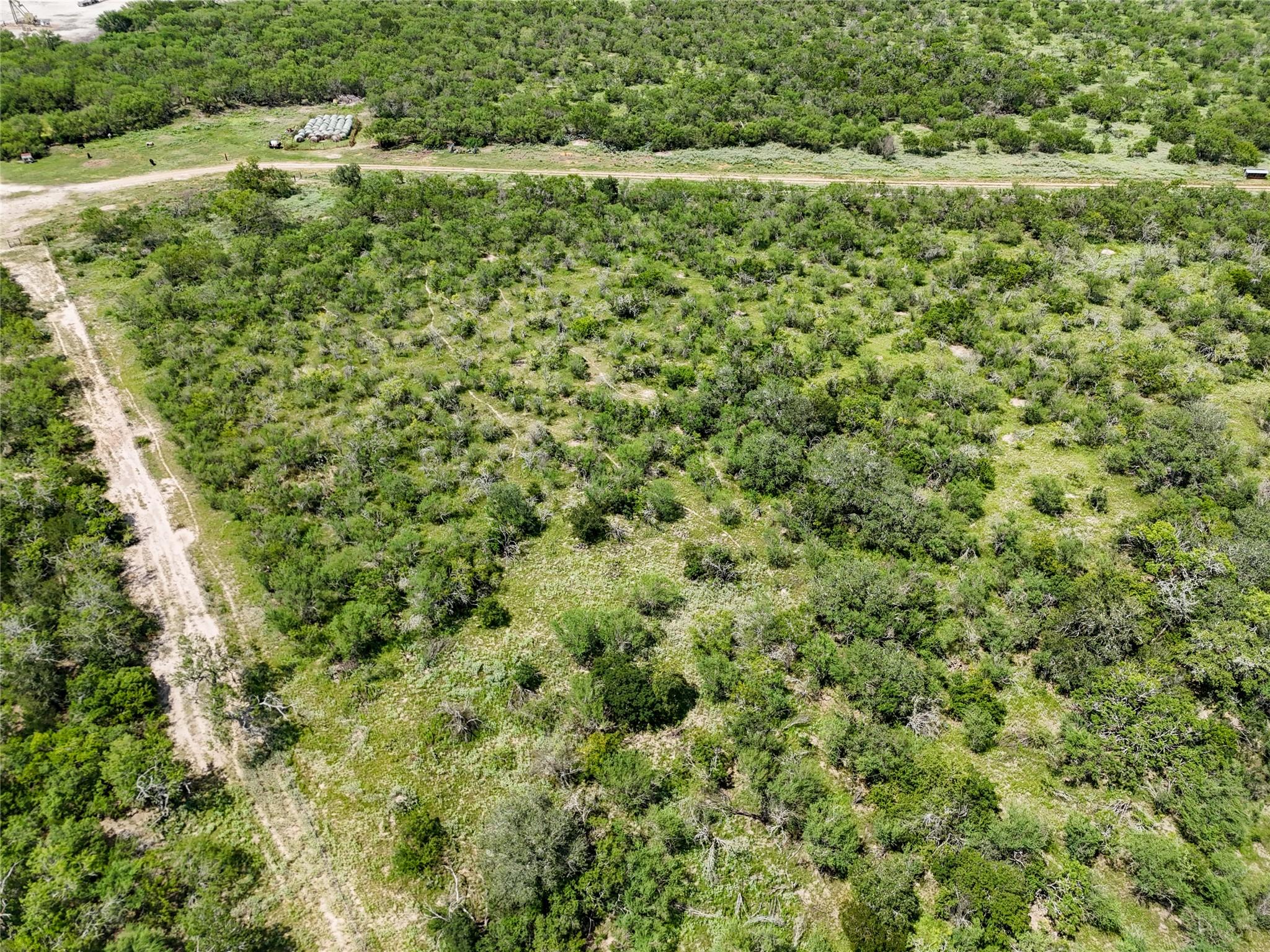 Lot 3 County Road 211 None Property Photo 9