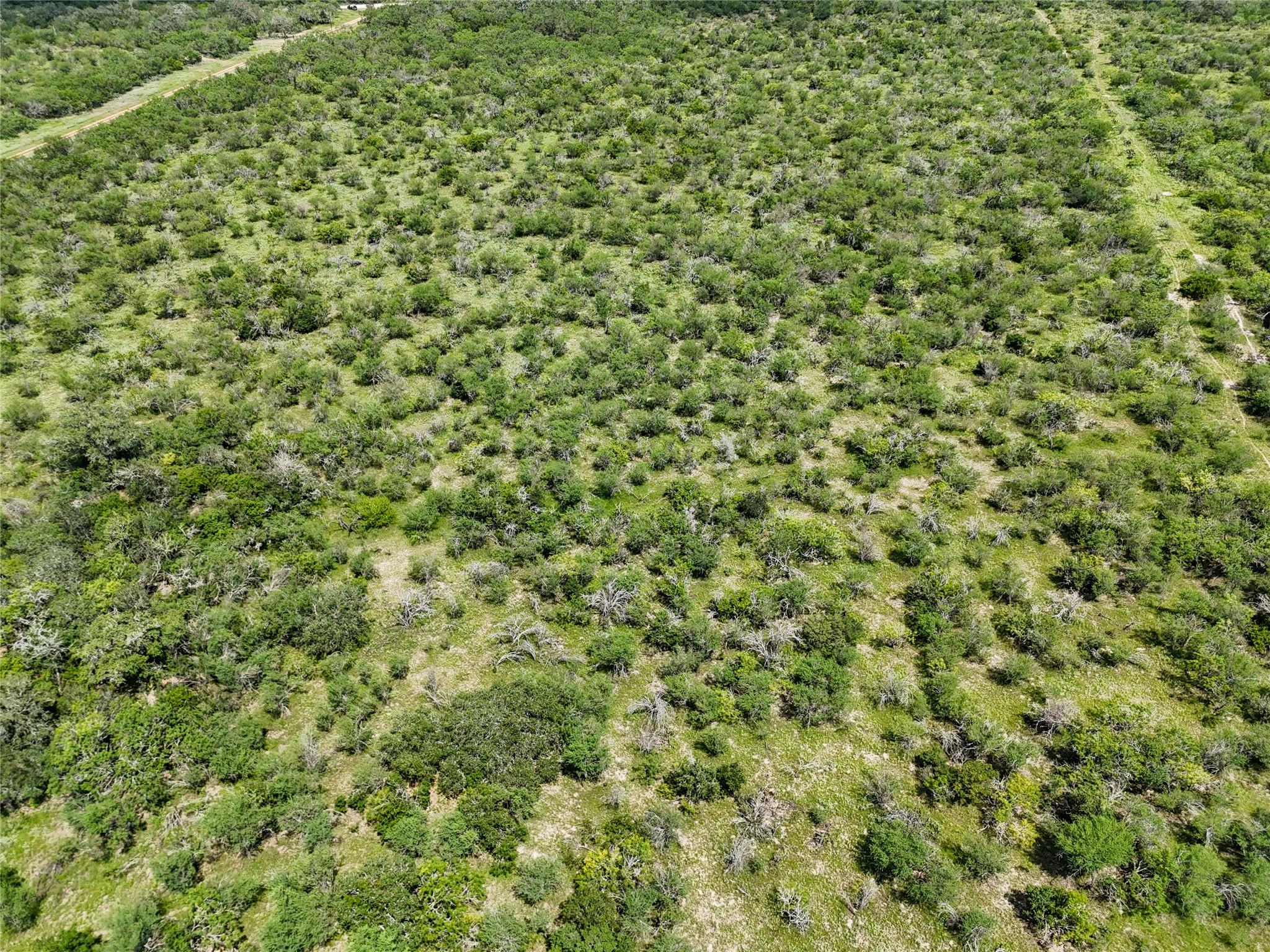 Lot 3 County Road 211 None Property Photo 10