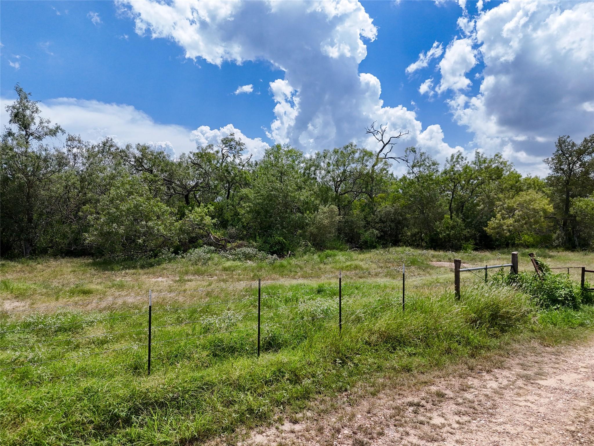 Lot 3 County Road 211 None Property Photo 13