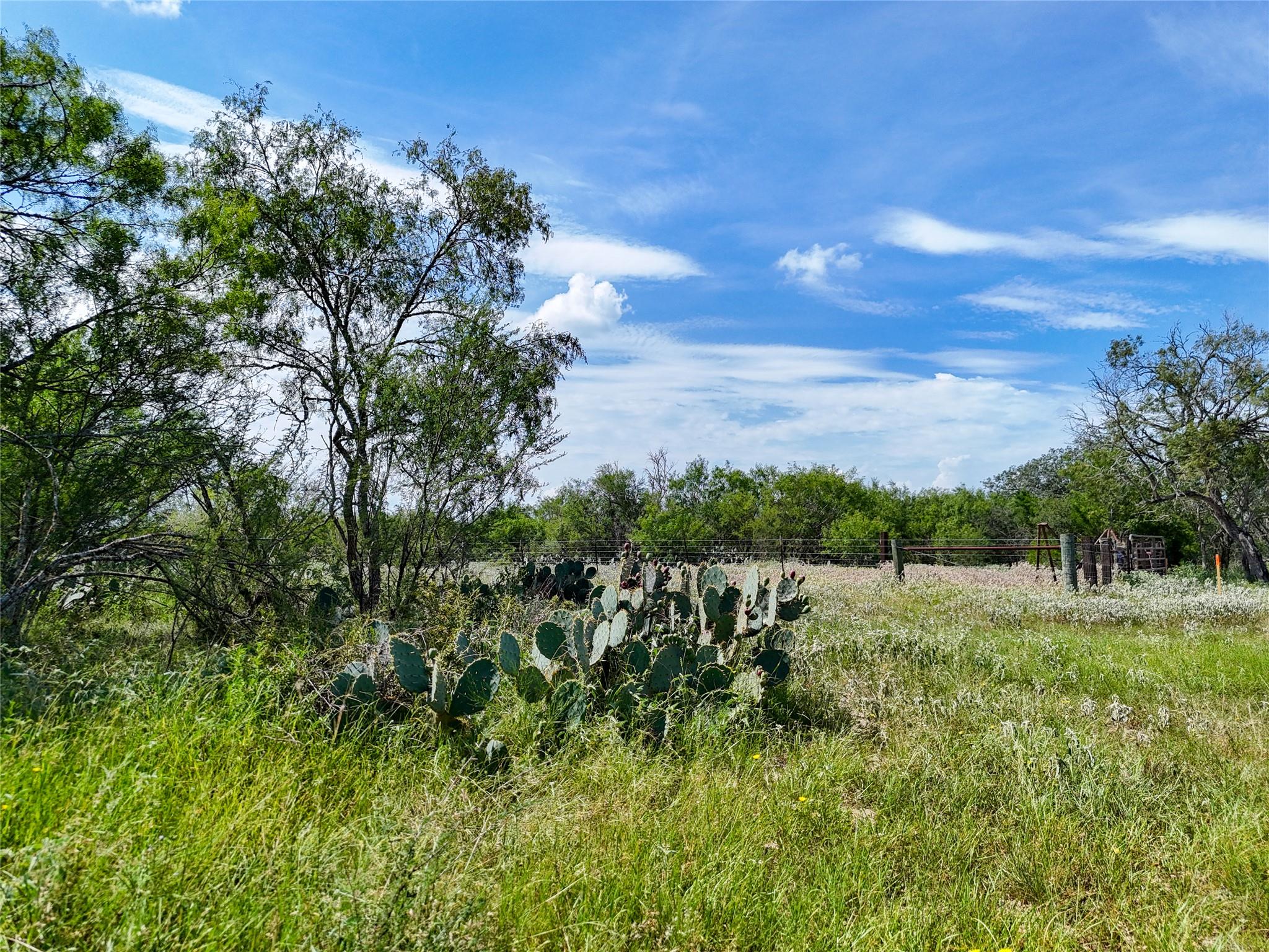 Lot 3 County Road 211 None Property Photo 18