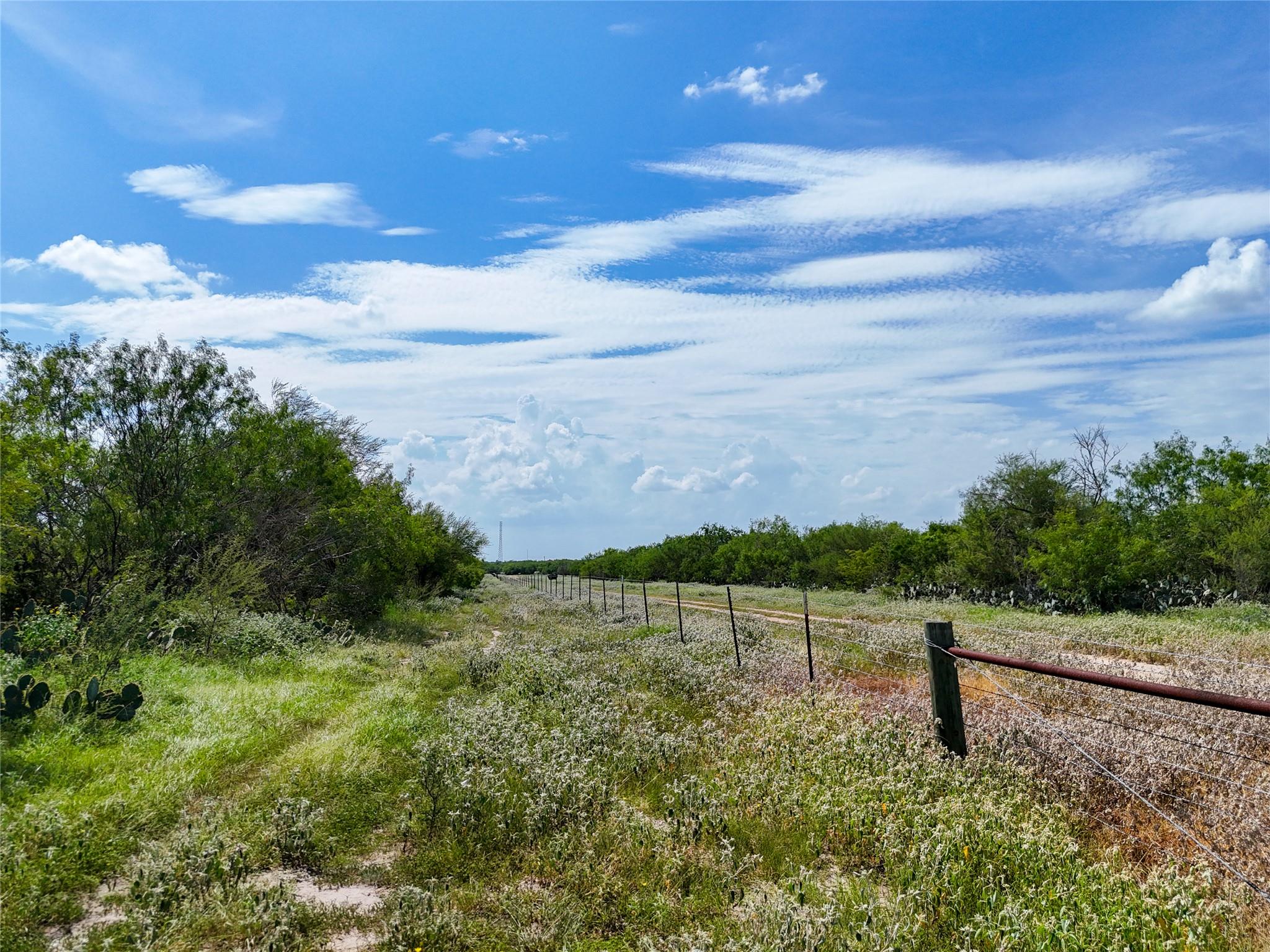 Lot 3 County Road 211 None Property Photo 19