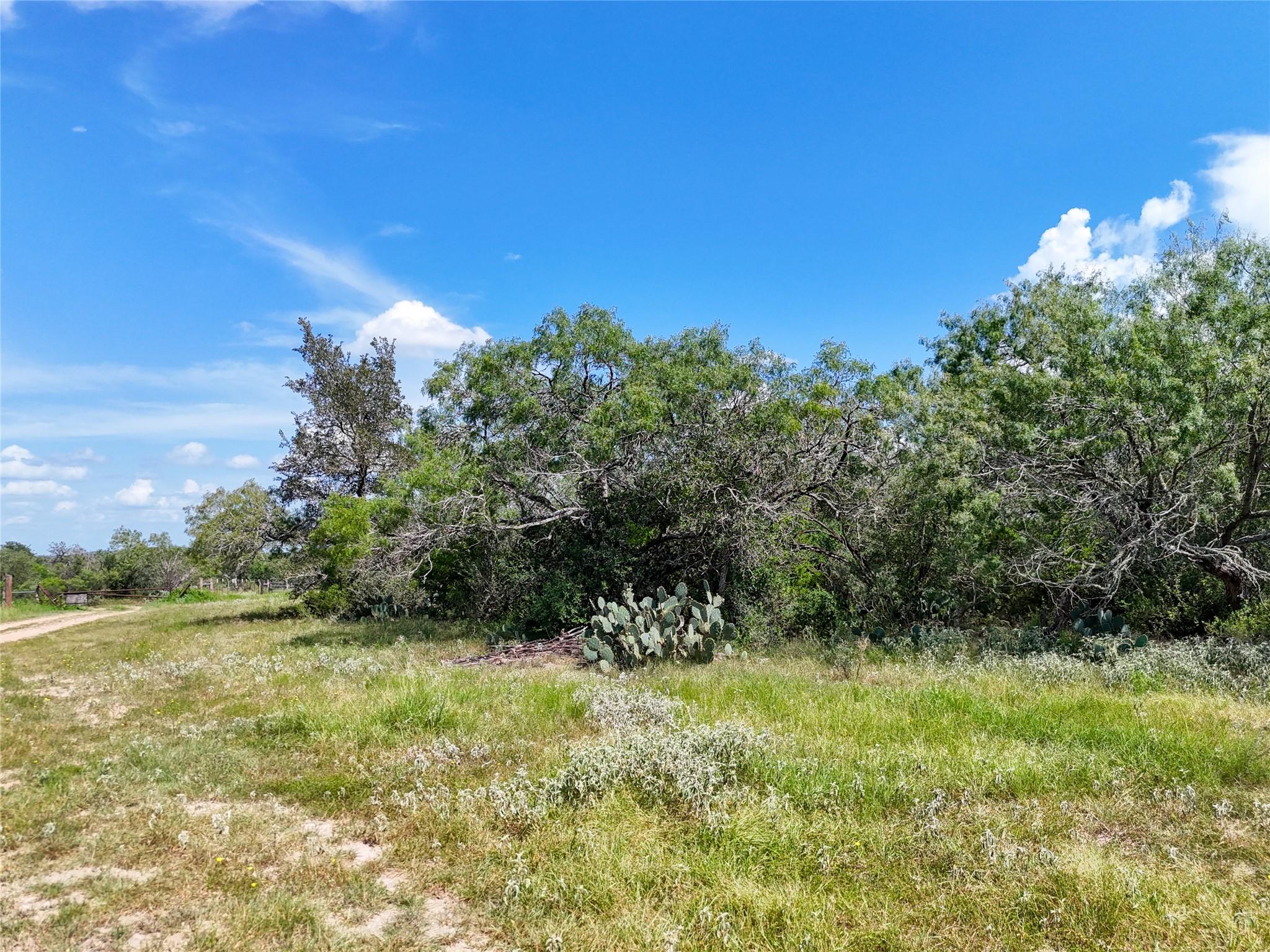 Lot 3 County Road 211 None Property Photo 20