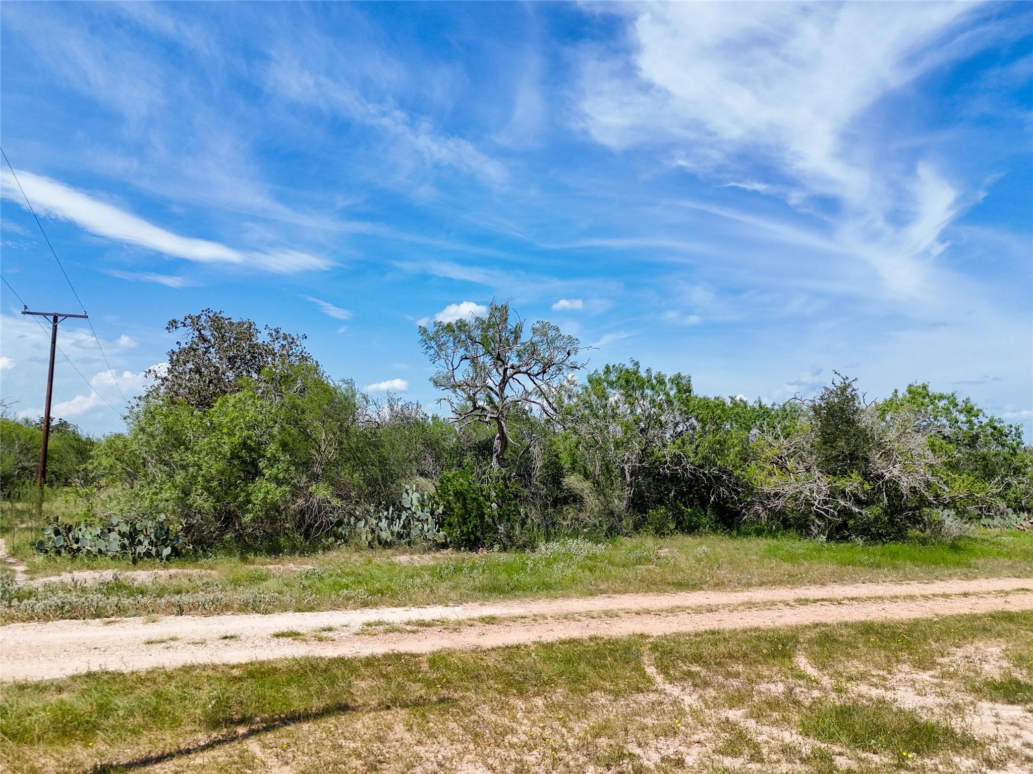 Lot 3 County Road 211 None Property Photo 21