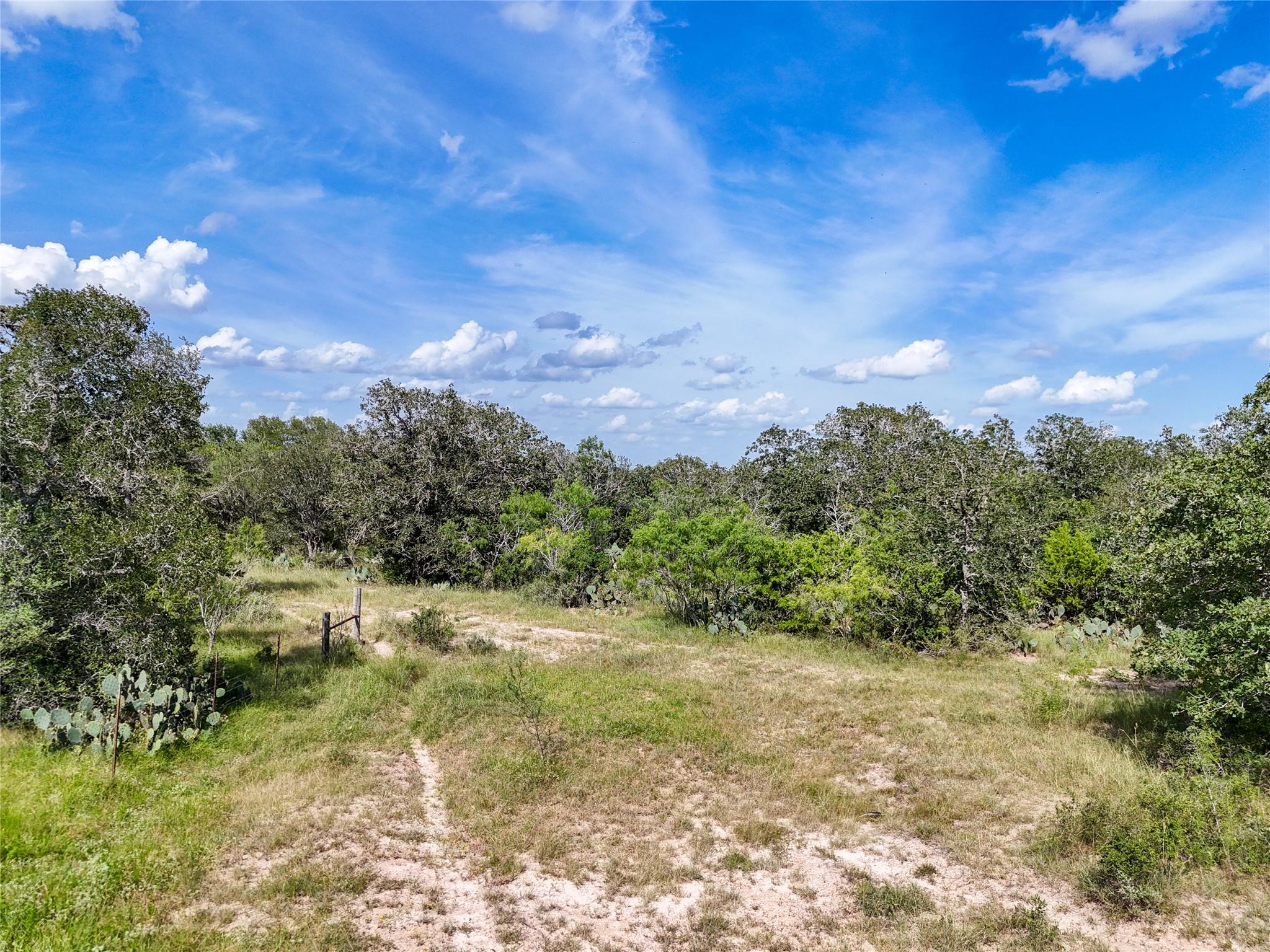 Lot 3 County Road 211 None Property Photo 23