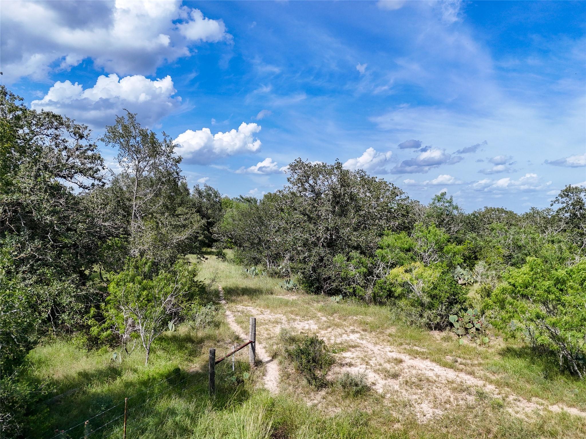 Lot 3 County Road 211 None Property Photo 24