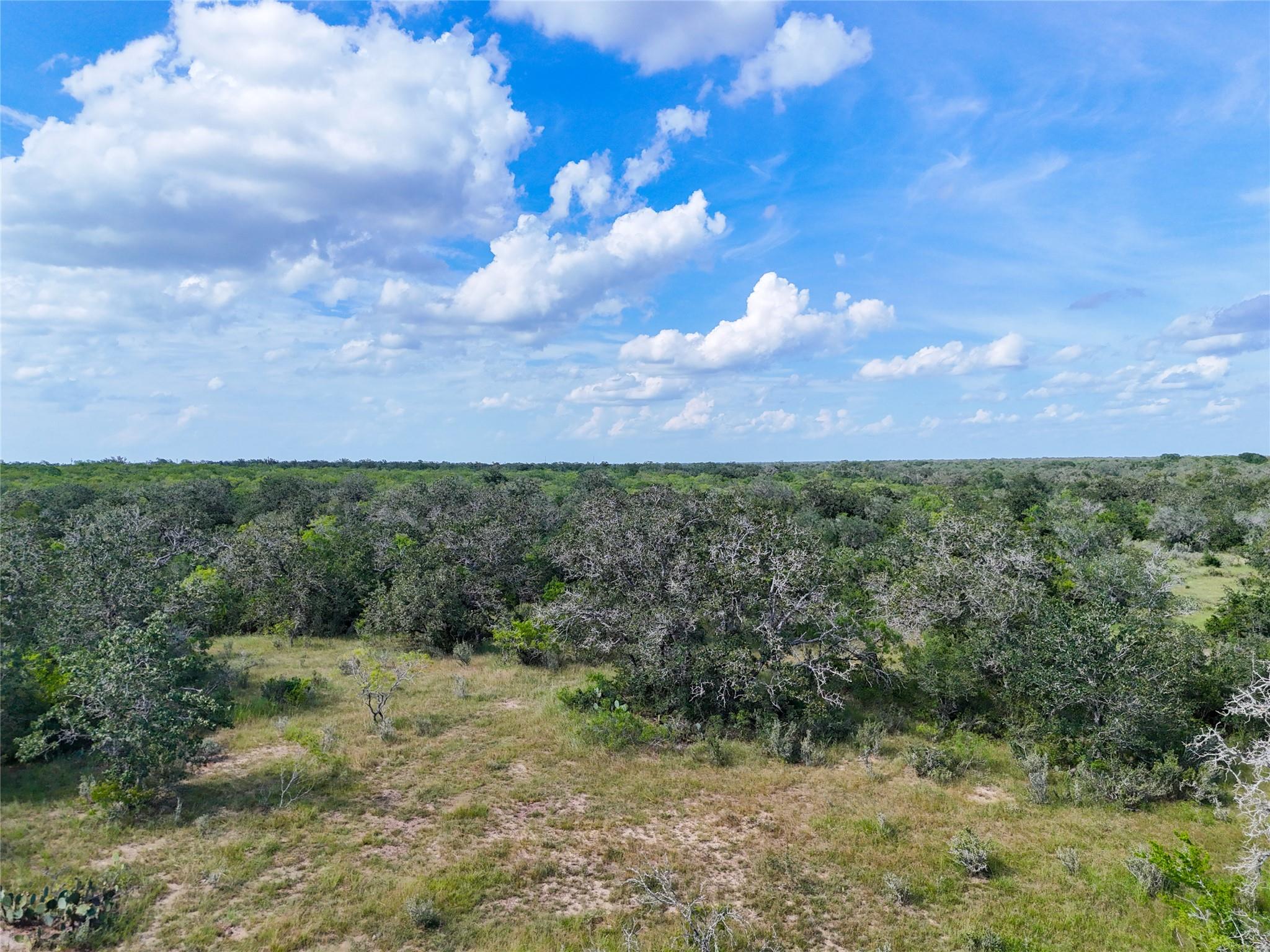 Lot 3 County Road 211 None Property Photo 26
