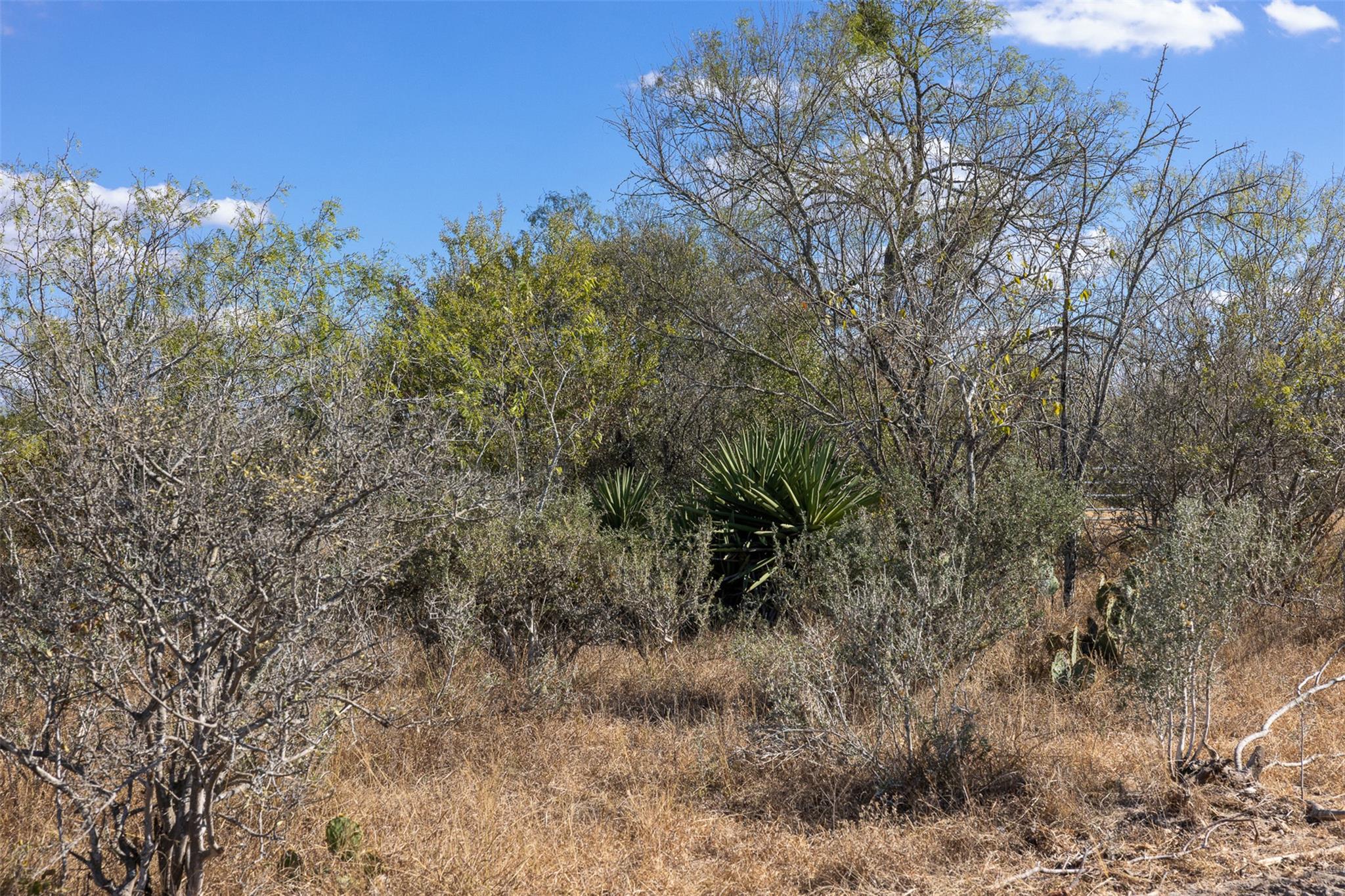 Lot 3 County Road 211 None Property Photo 27
