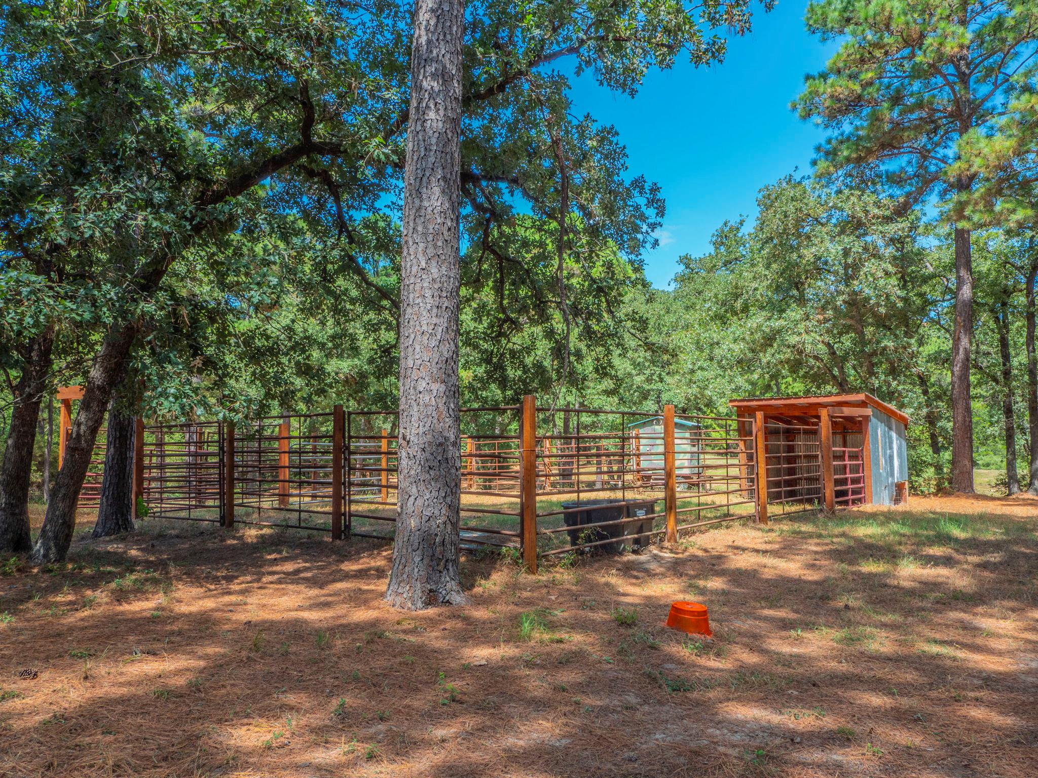 146 Fealy Rd Property Photo 25