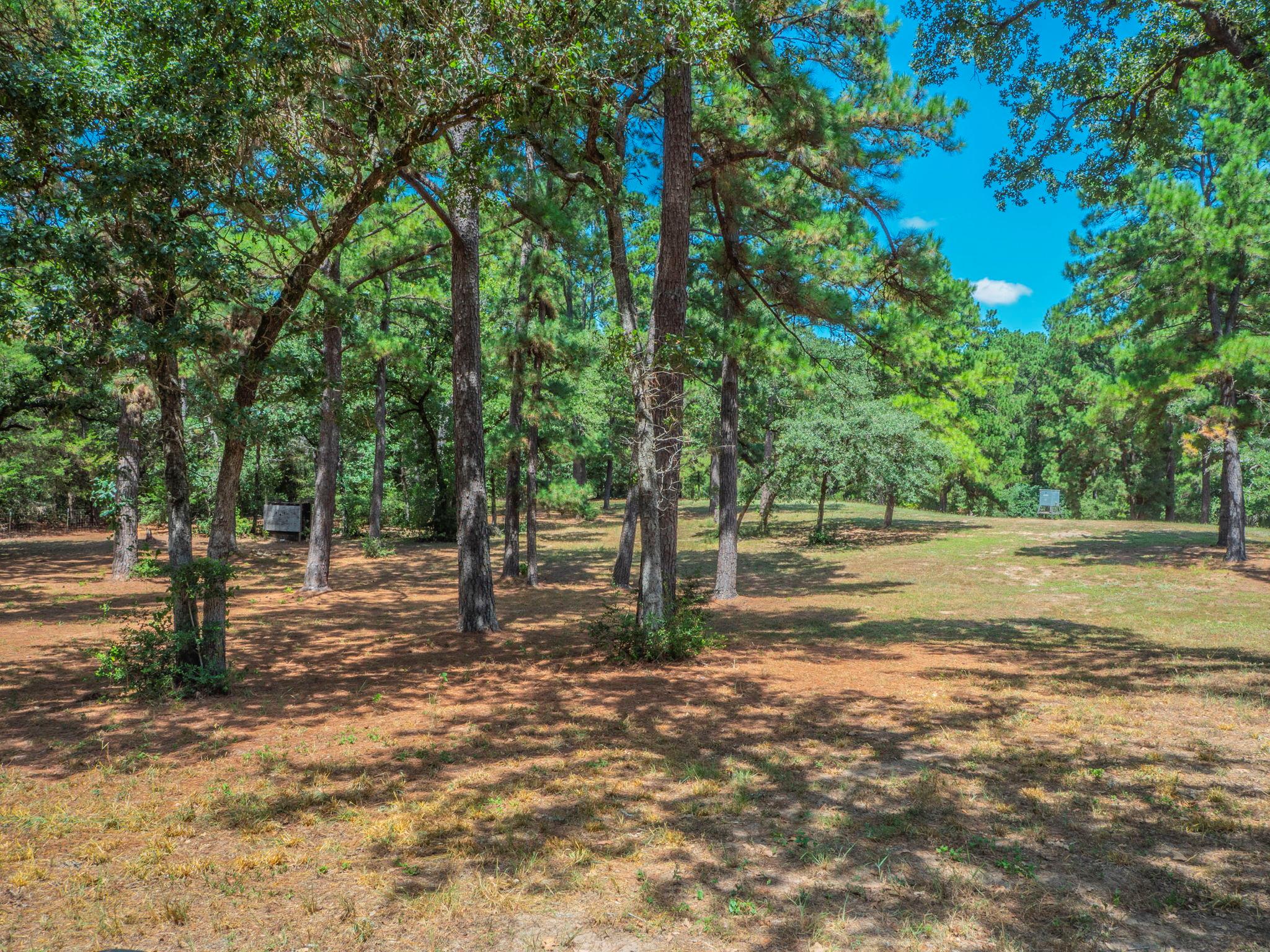 146 Fealy Rd Property Photo 28