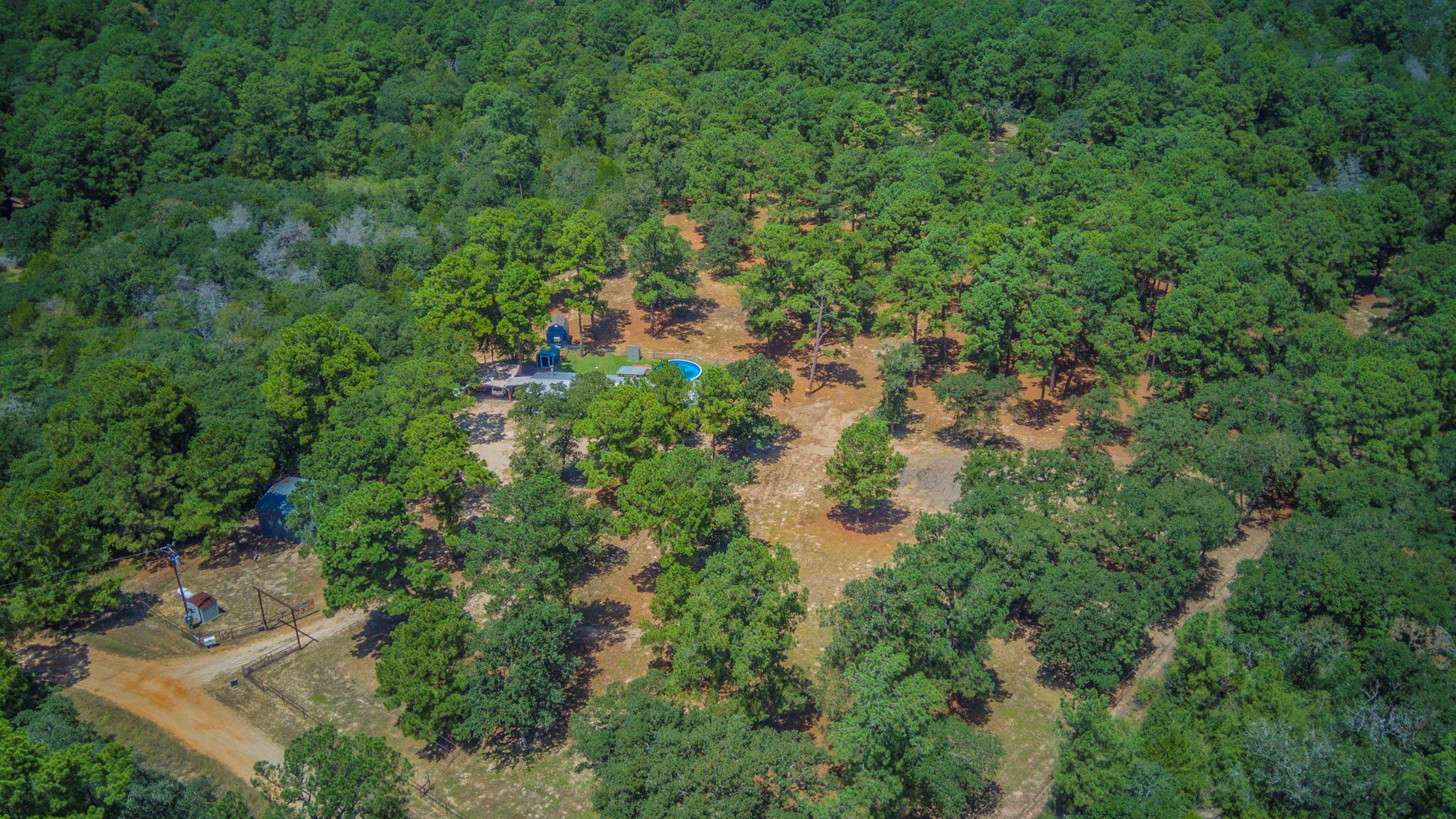 146 Fealy Rd Property Photo 33