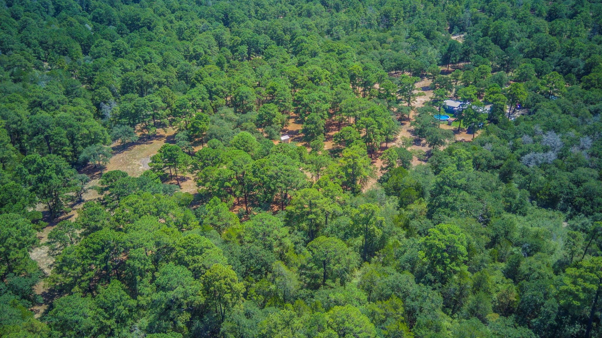 146 Fealy Rd Property Photo 34