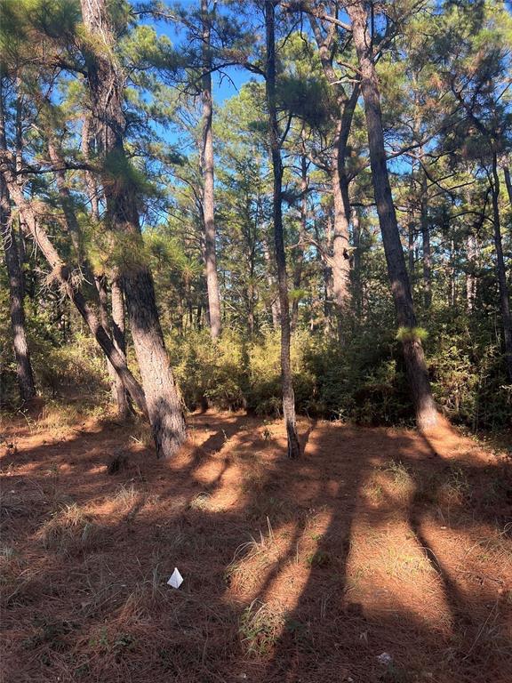Tbd Pine Lodge Dr Property Photo 3