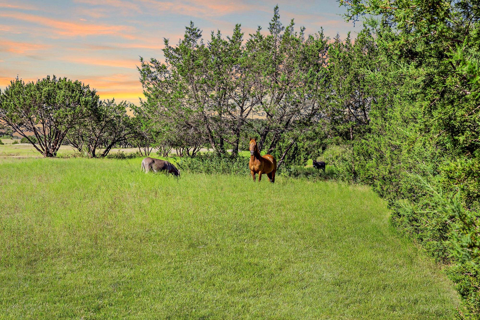 3656 Fm 2657 None Property Photo 9